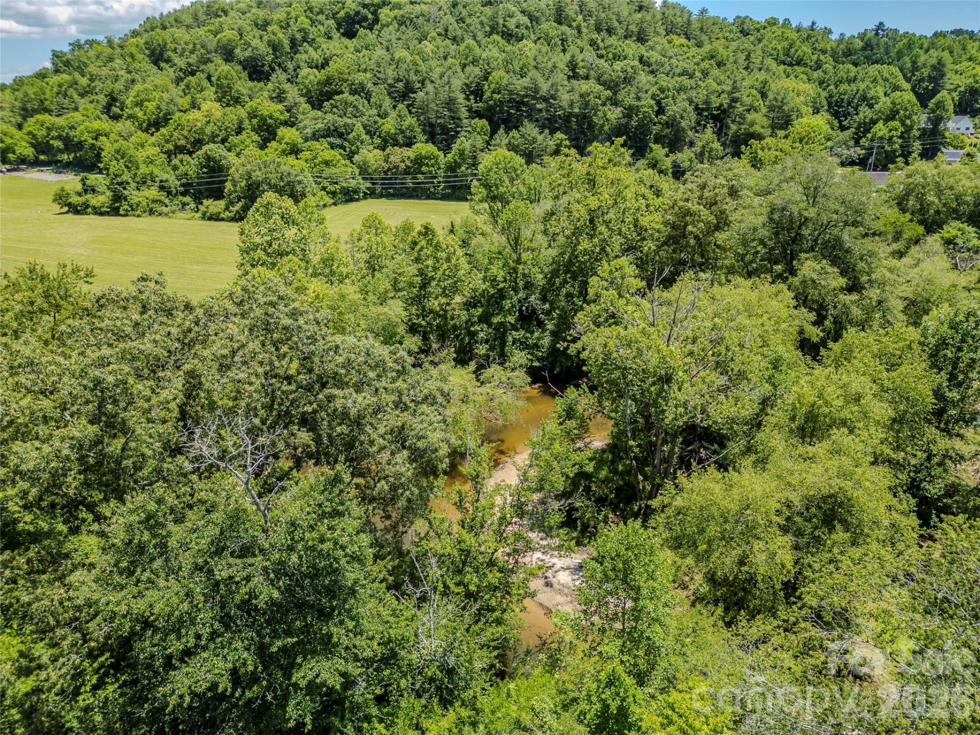TBD Canebrake Road - Photo 17