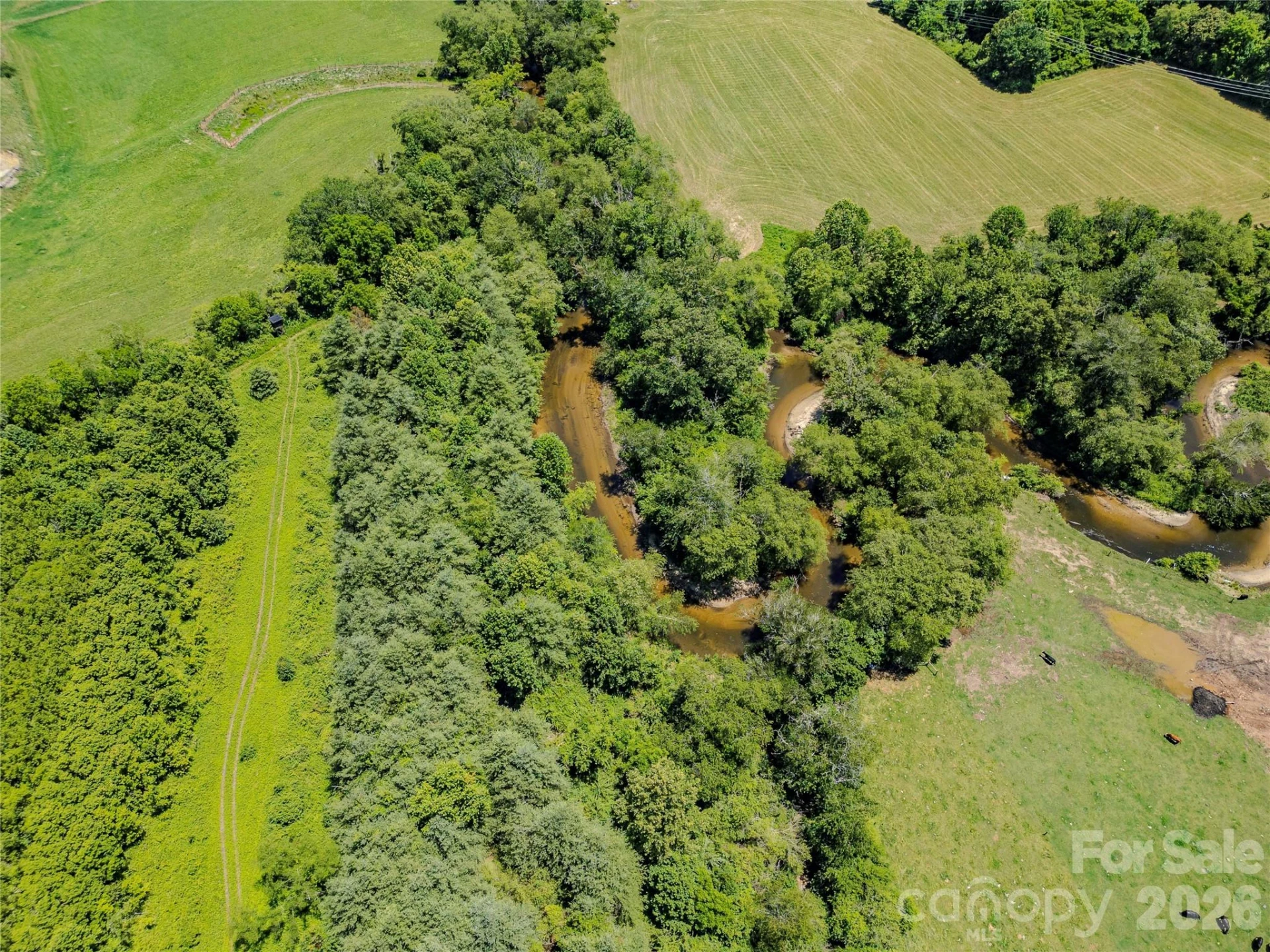 TBD Canebrake Road - Photo 18