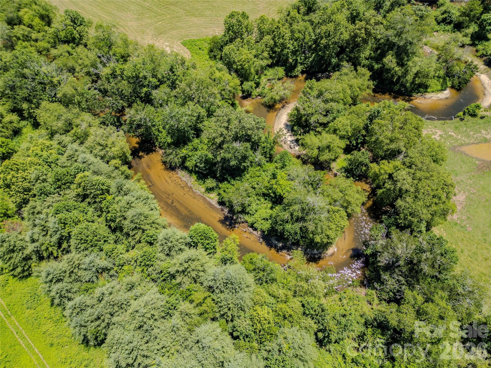 TBD Canebrake Road - Photo 19