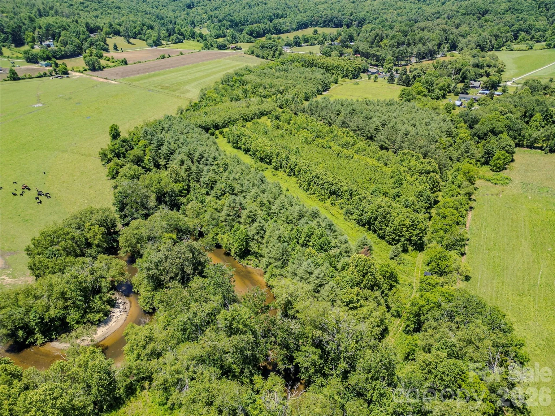 TBD Canebrake Road - Photo 21