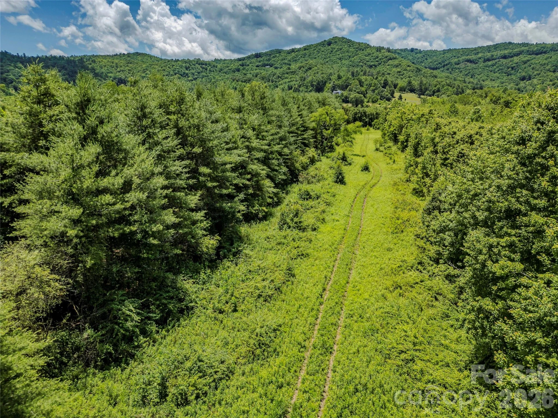 TBD Canebrake Road - Photo 23