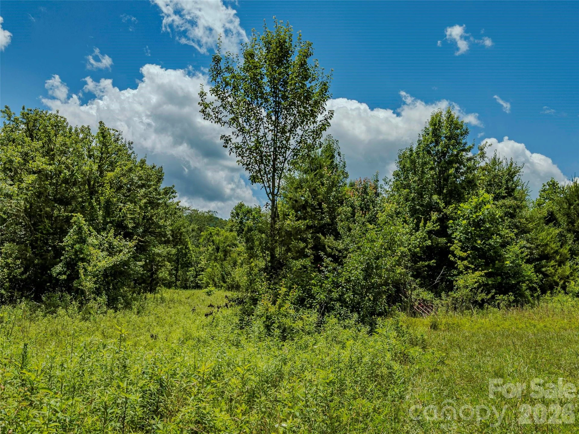 TBD Canebrake Road - Photo 24
