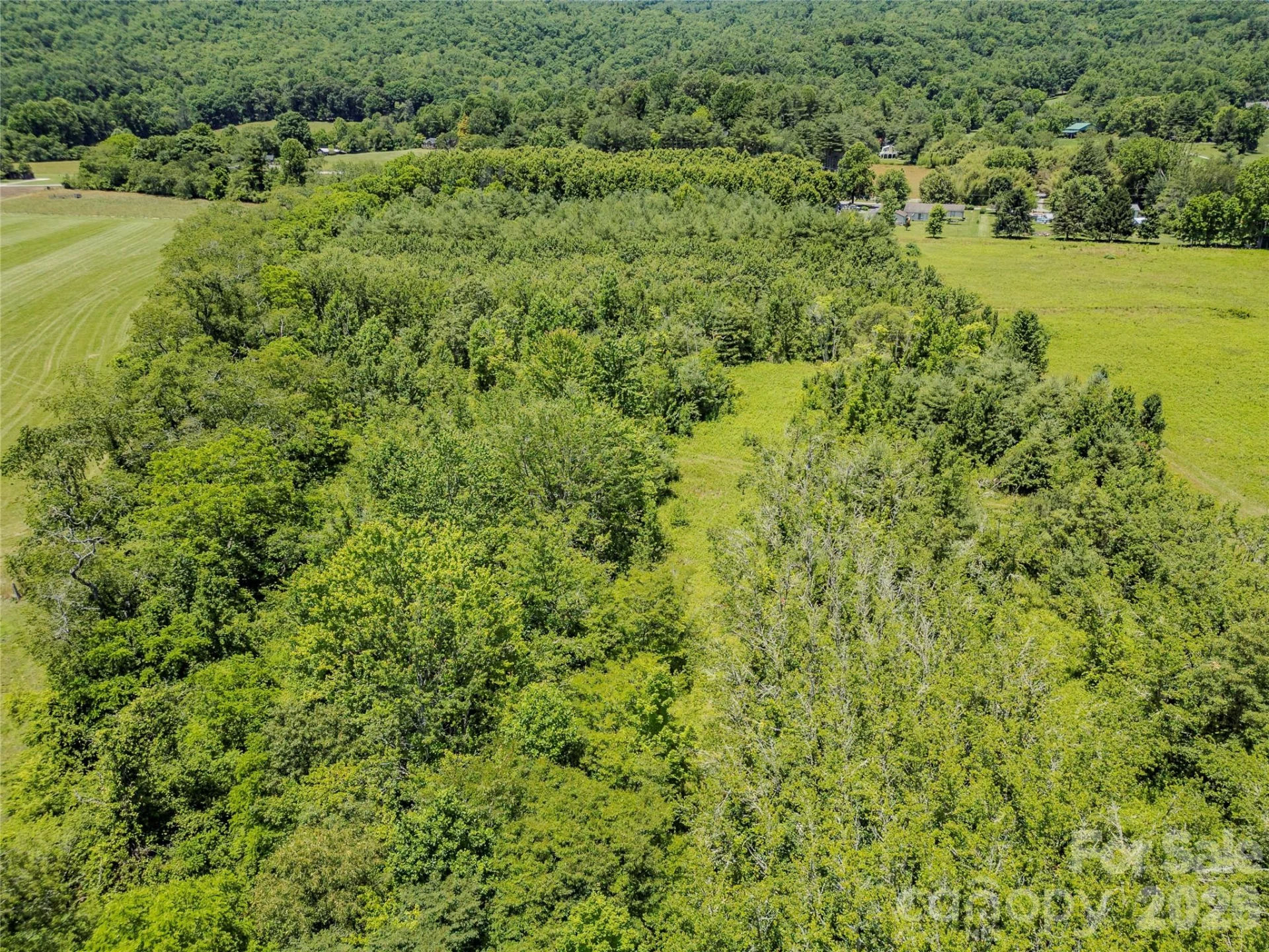 TBD Canebrake Road - Photo 25