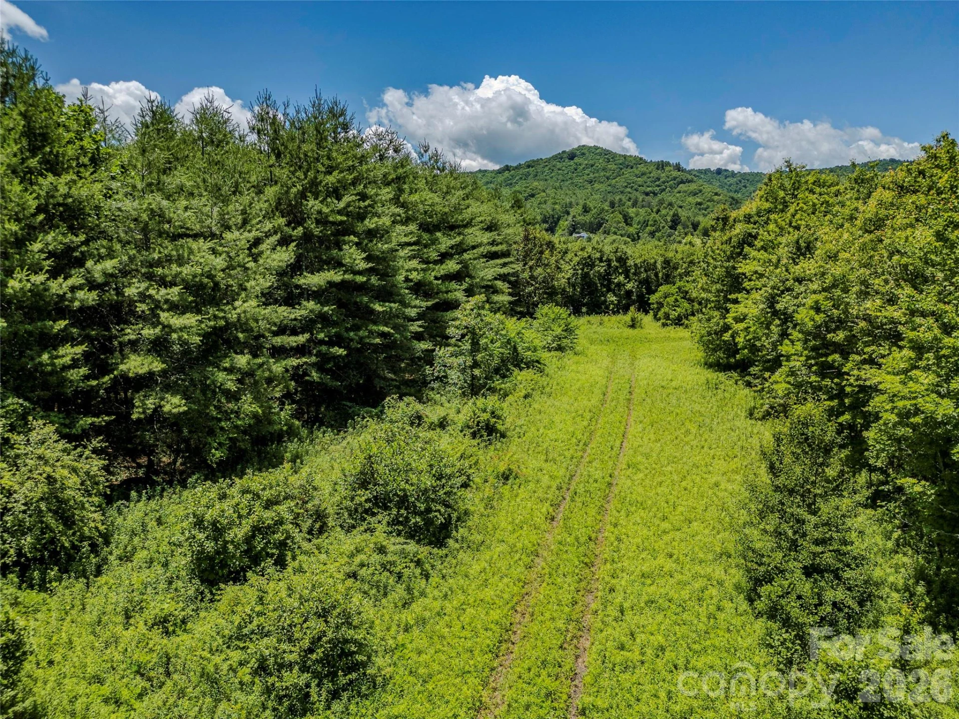 TBD Canebrake Road - Photo 26
