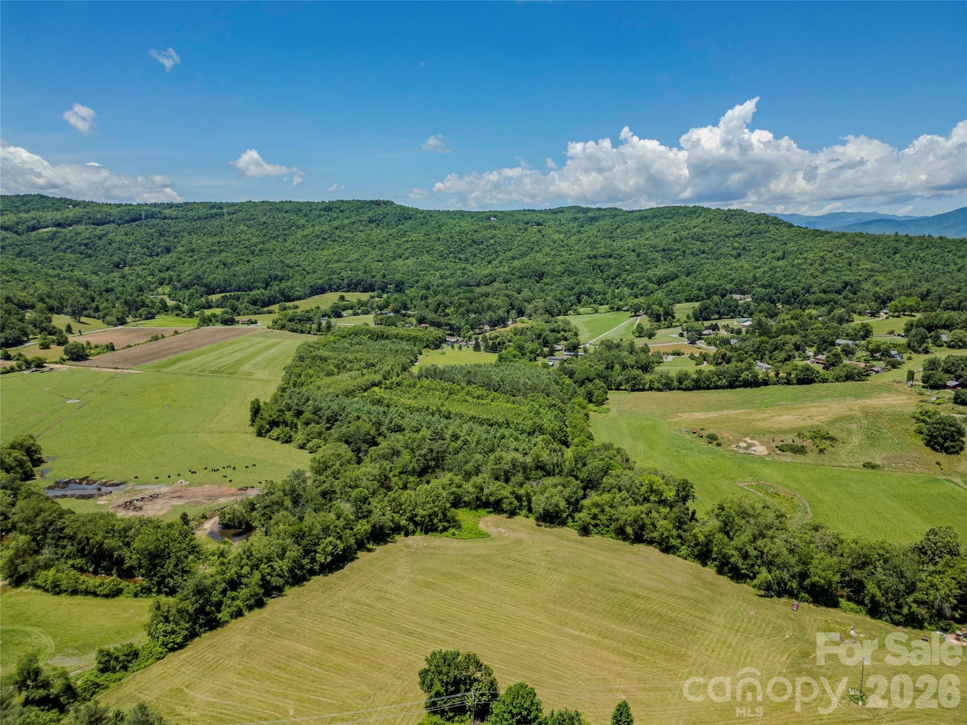 TBD Canebrake Road - Photo 27
