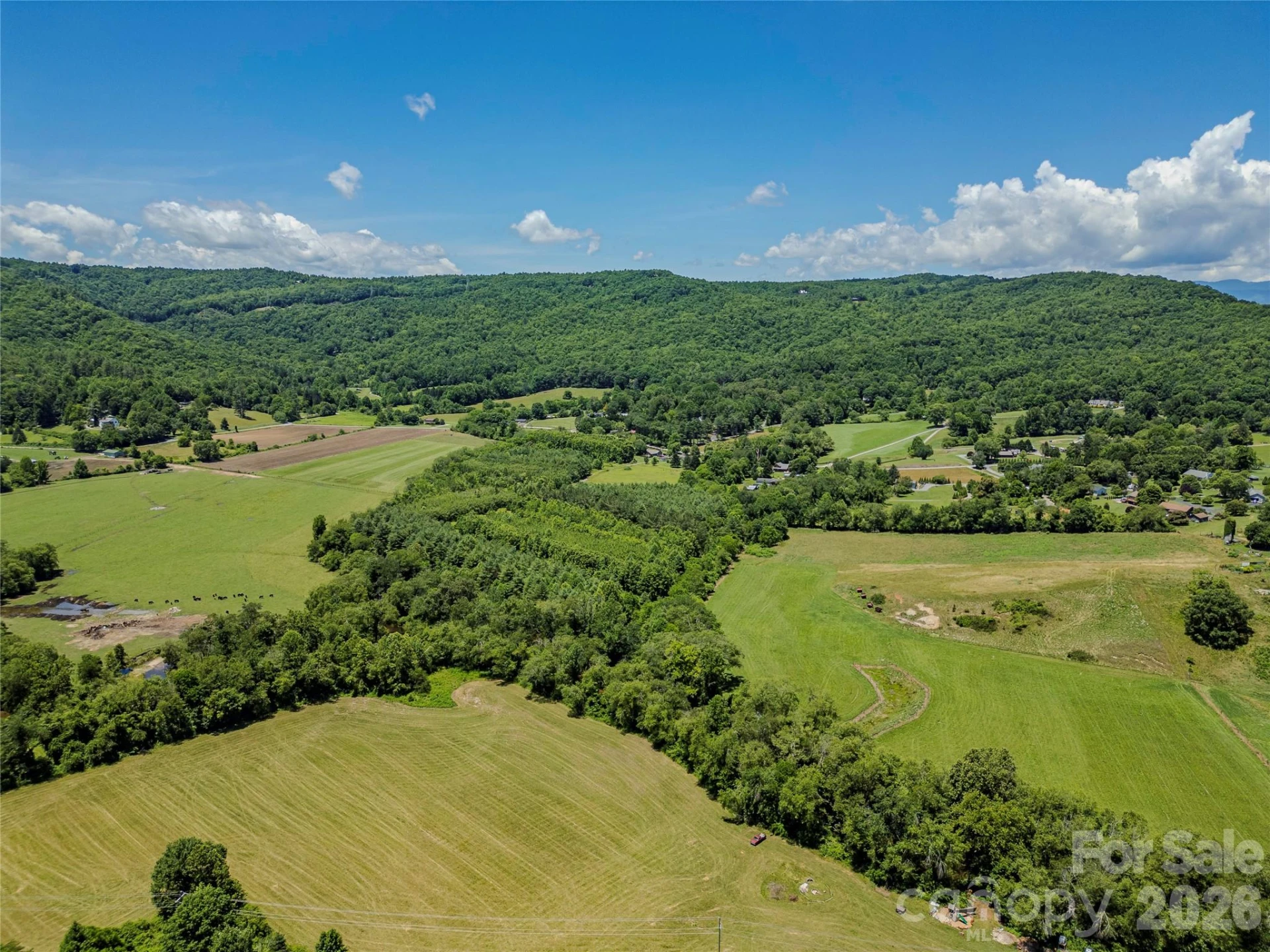 TBD Canebrake Road - Photo 28