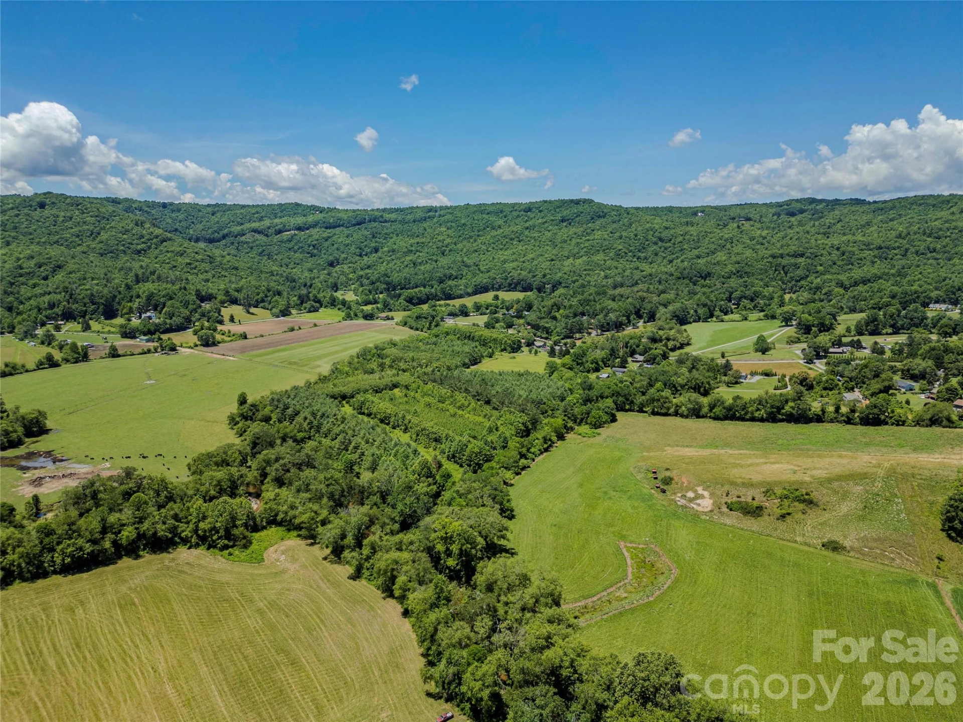 TBD Canebrake Road - Photo 29