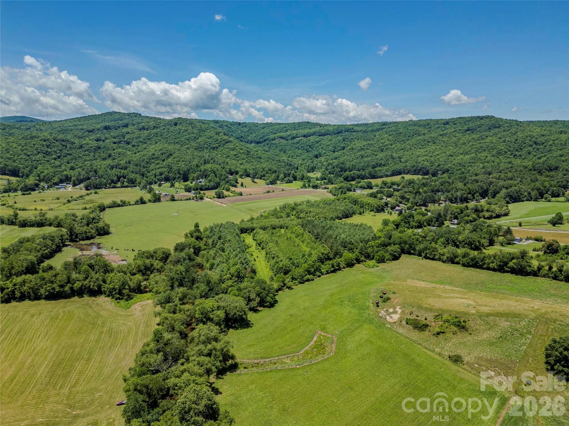 TBD Canebrake Road - Photo 30