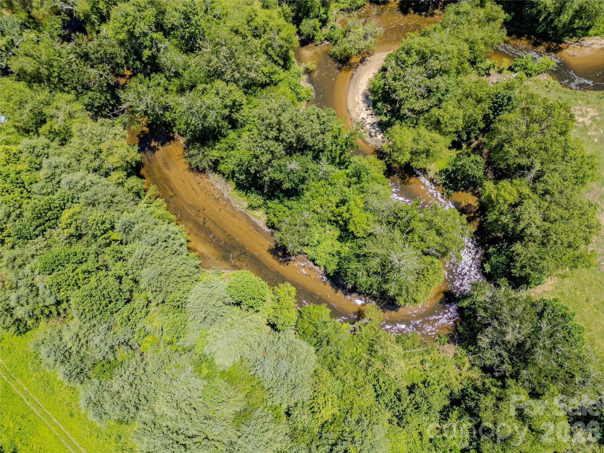 TBD Canebrake Road - Photo 4