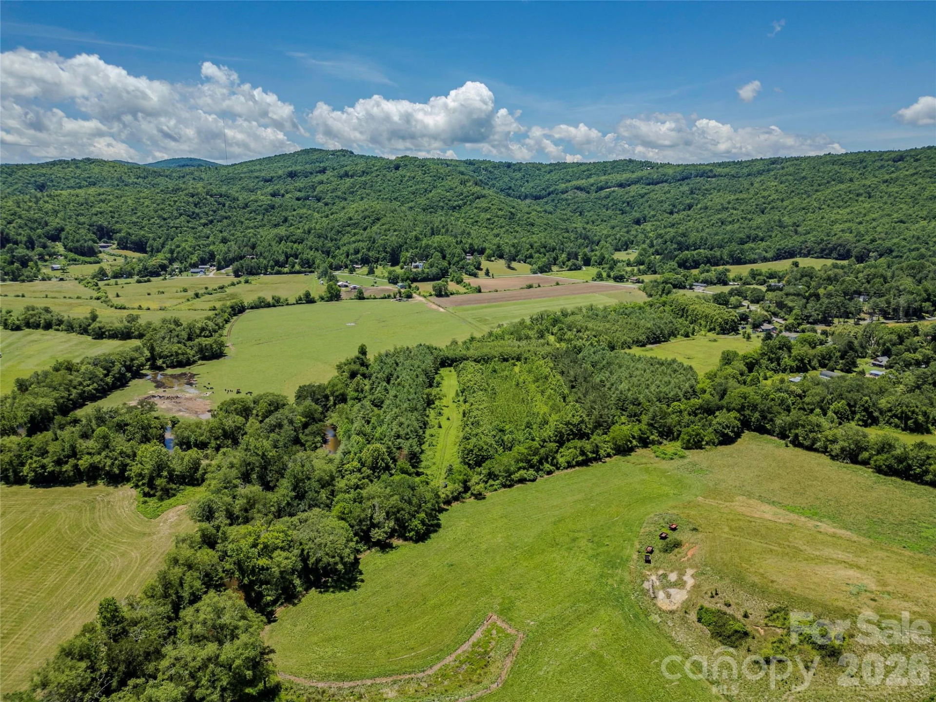 TBD Canebrake Road - Photo 31