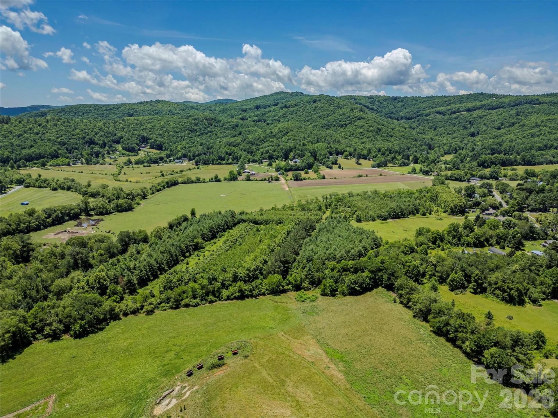 TBD Canebrake Road - Photo 32