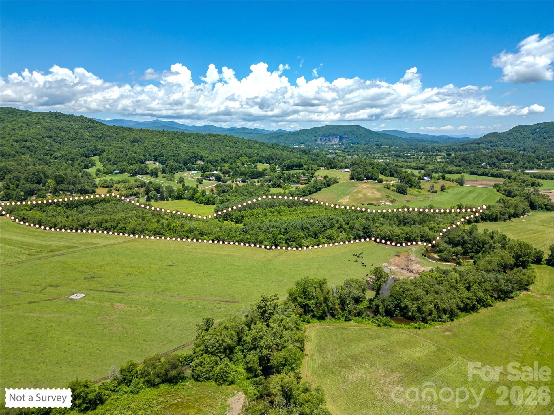 TBD Canebrake Road - Photo 33