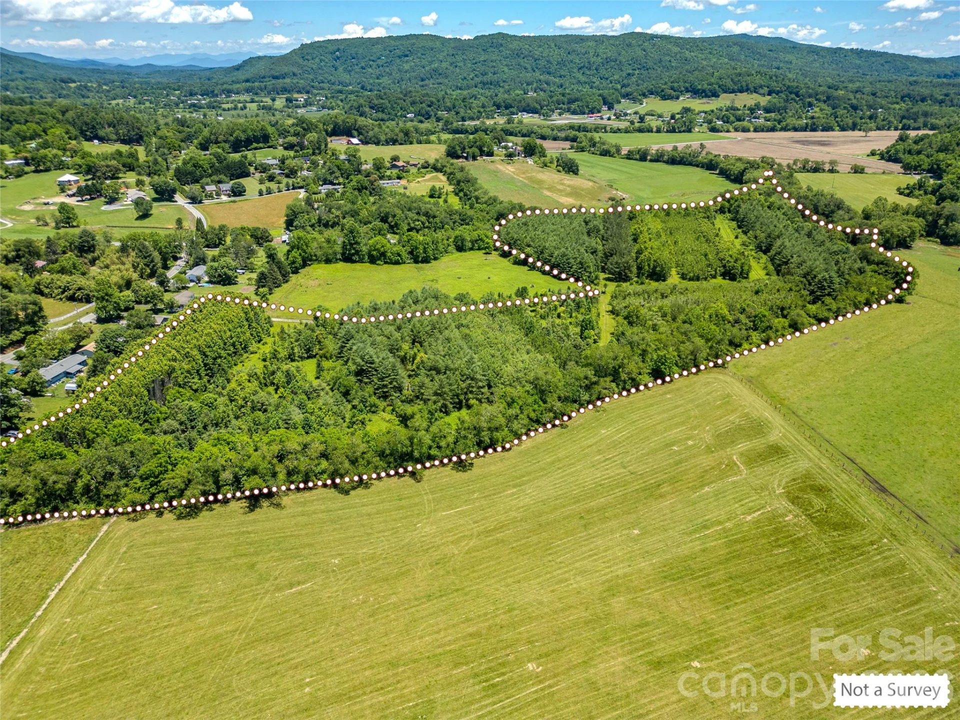 TBD Canebrake Road - Photo 34