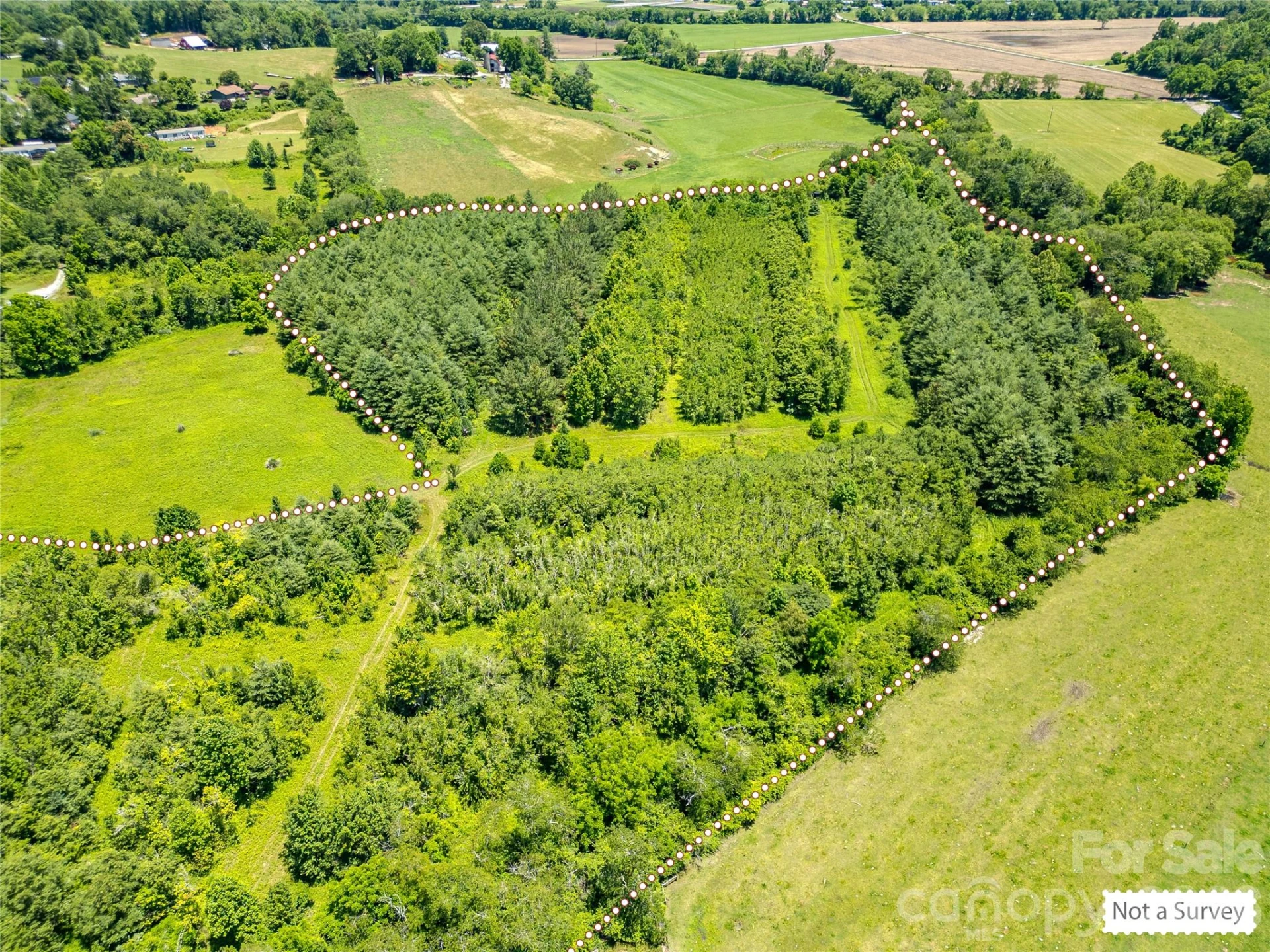 TBD Canebrake Road - Photo 35