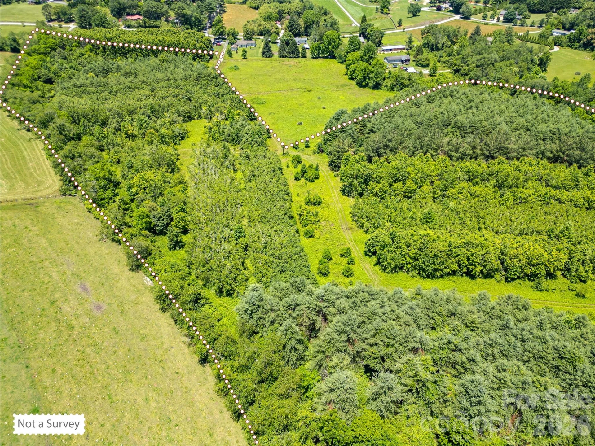 TBD Canebrake Road - Photo 36