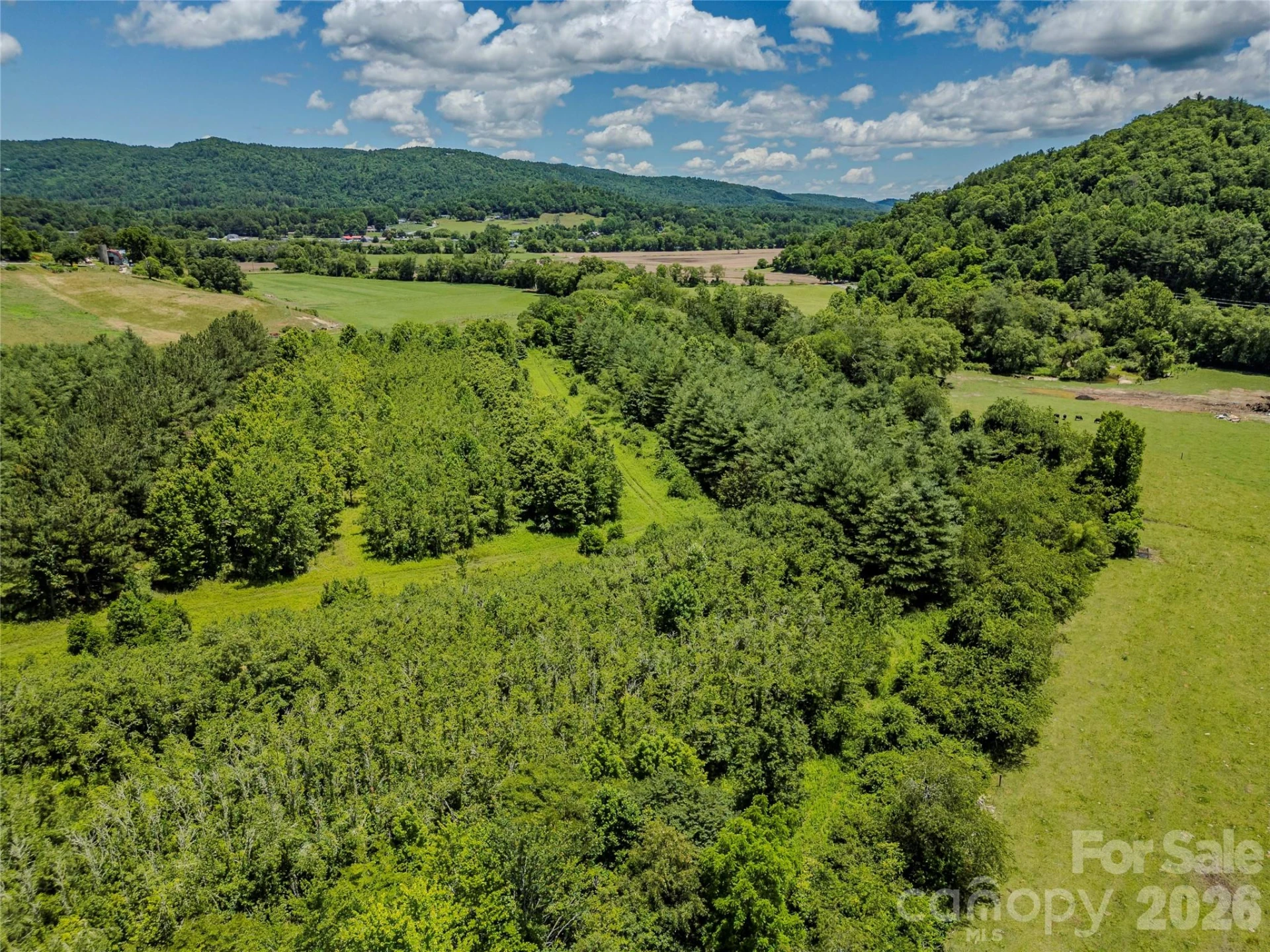 TBD Canebrake Road - Photo 37