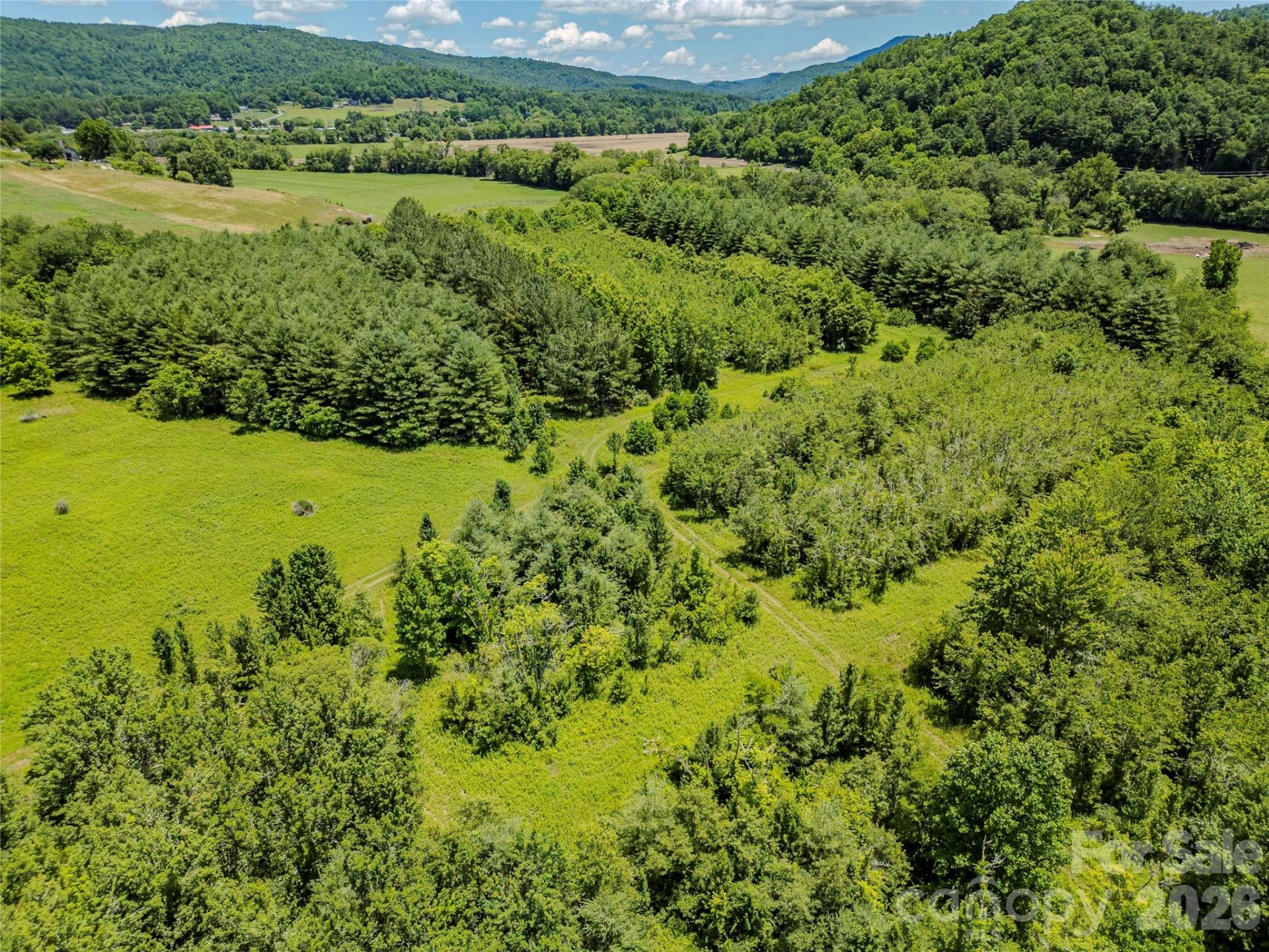 TBD Canebrake Road - Photo 38