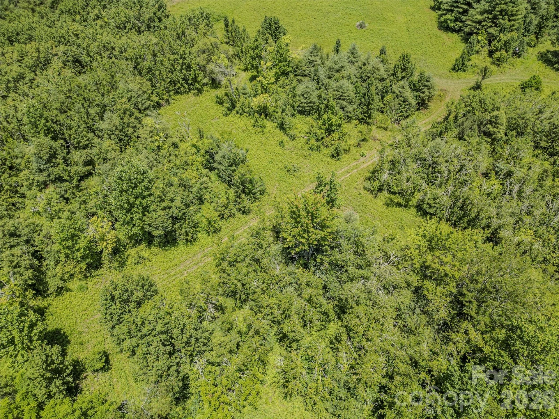TBD Canebrake Road - Photo 40
