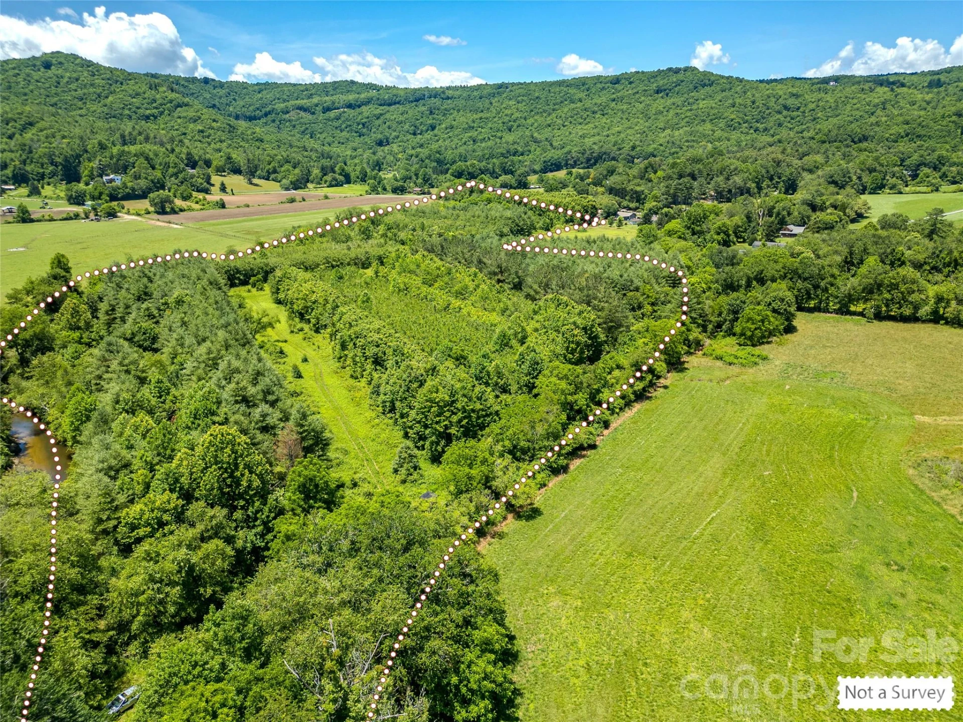 TBD Canebrake Road - Photo 5