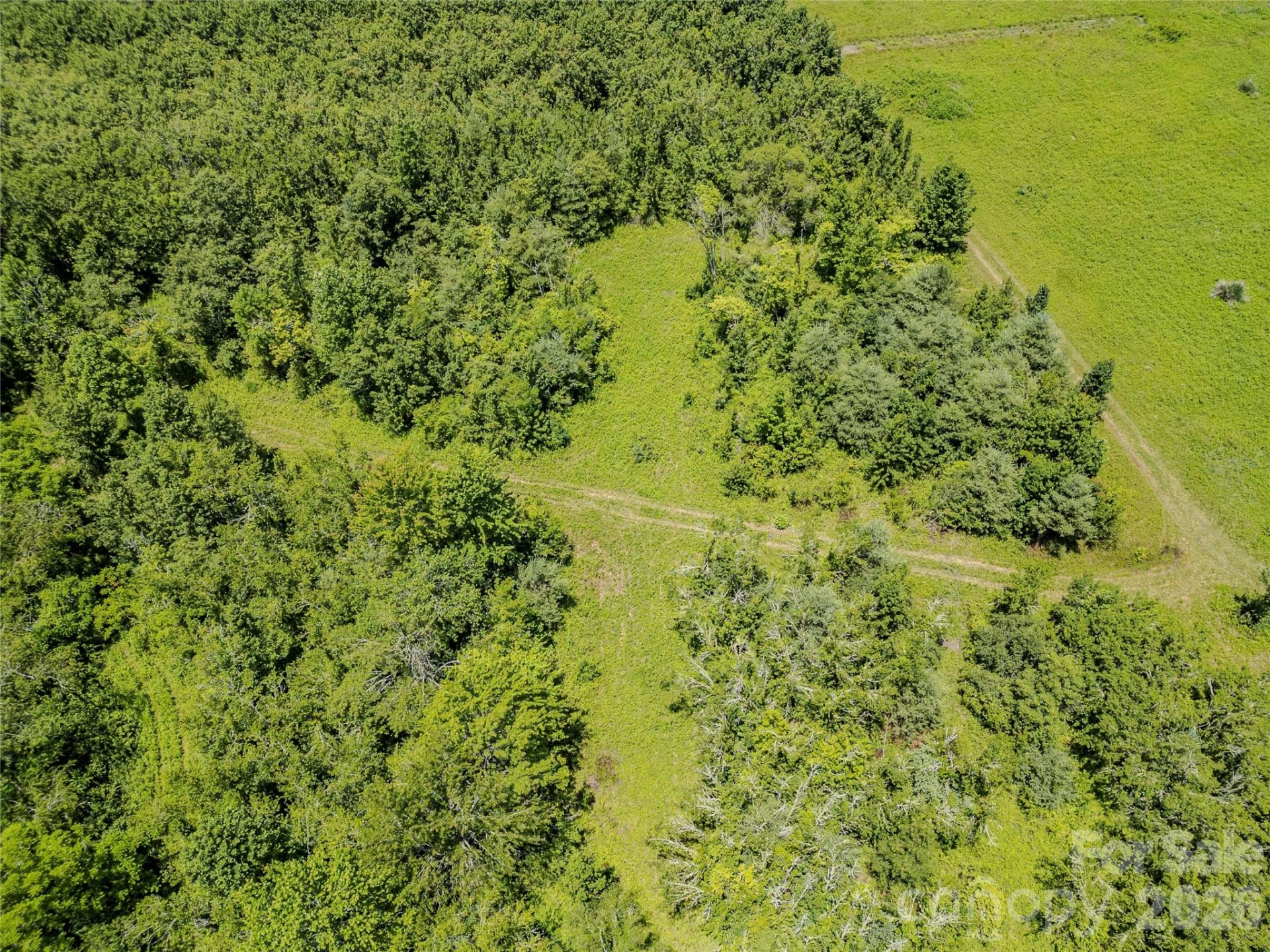 TBD Canebrake Road - Photo 41