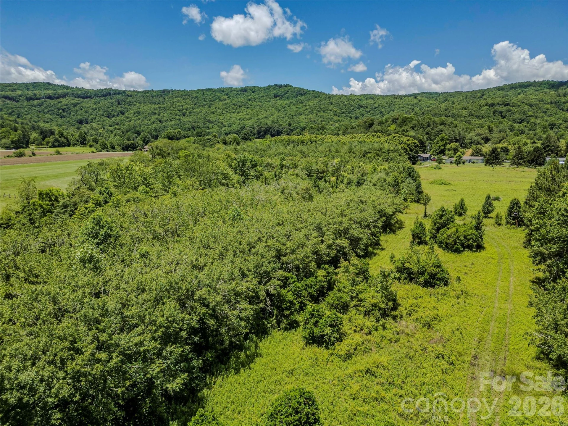 TBD Canebrake Road - Photo 42