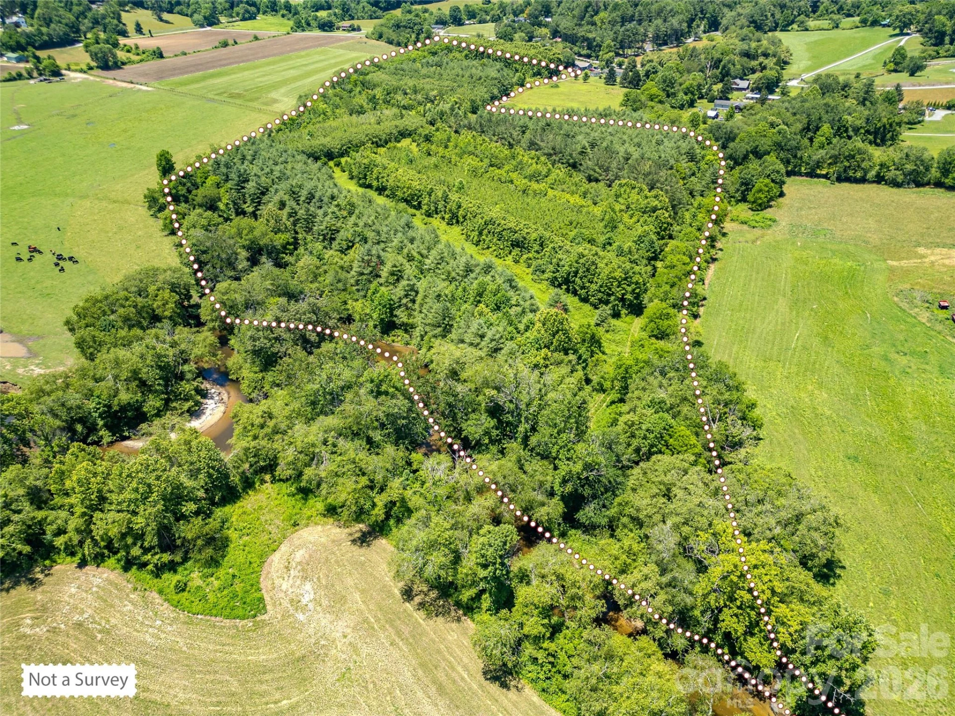 TBD Canebrake Road - Photo 6