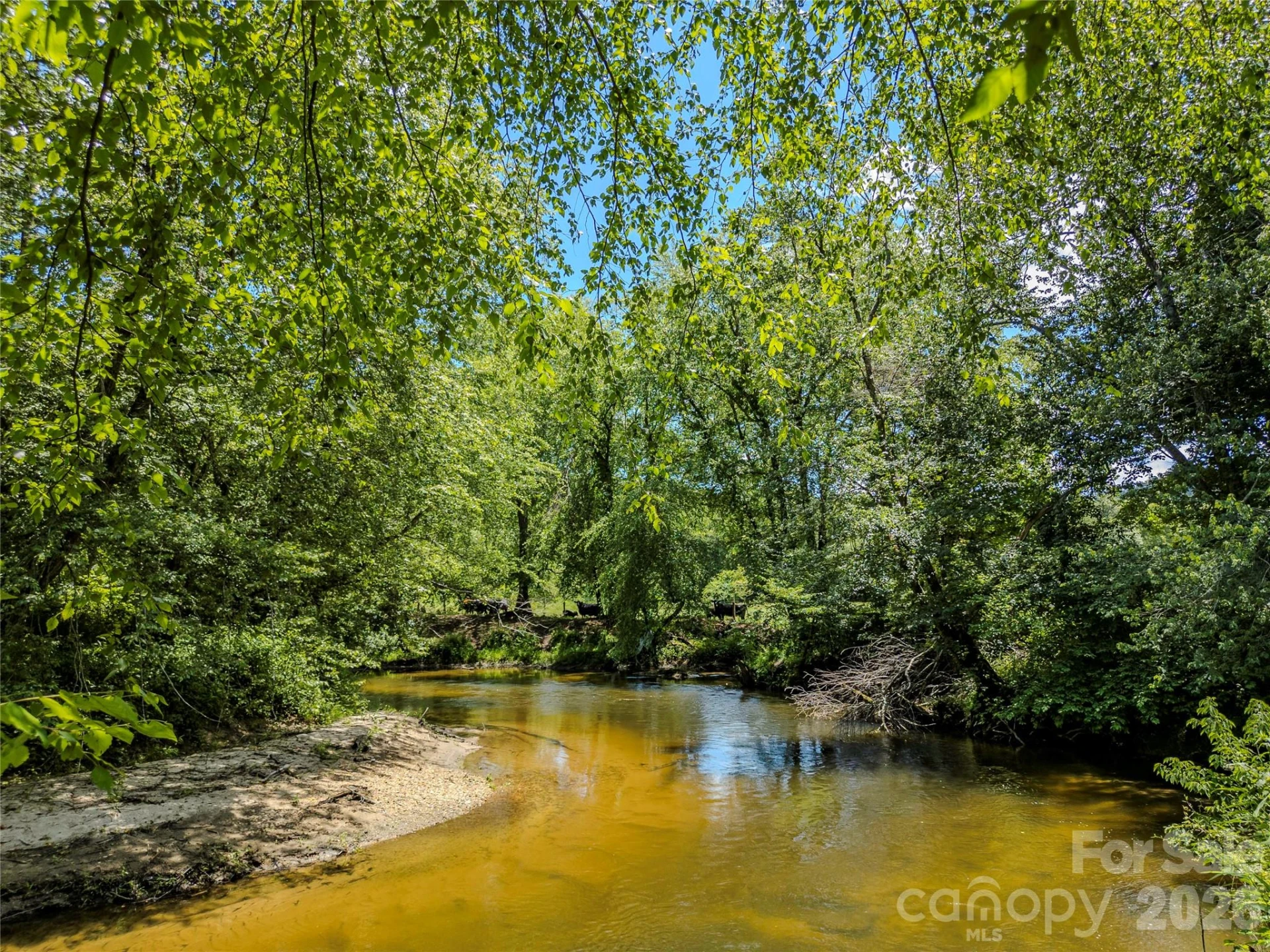 TBD Canebrake Road - Photo 10