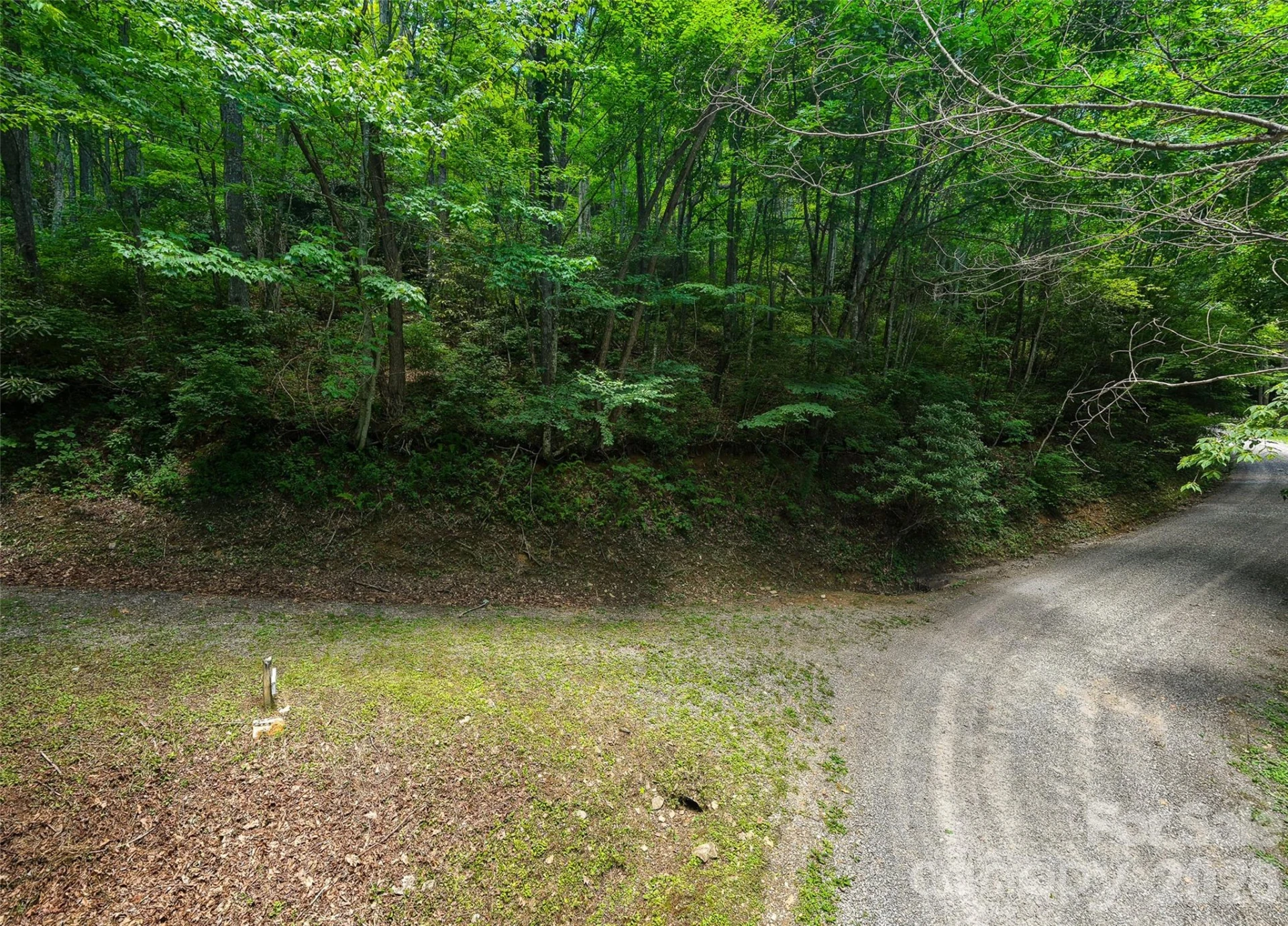 00 Bent Tree Road - Photo 9