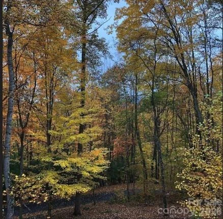 49 Brandywine Road - Photo 36