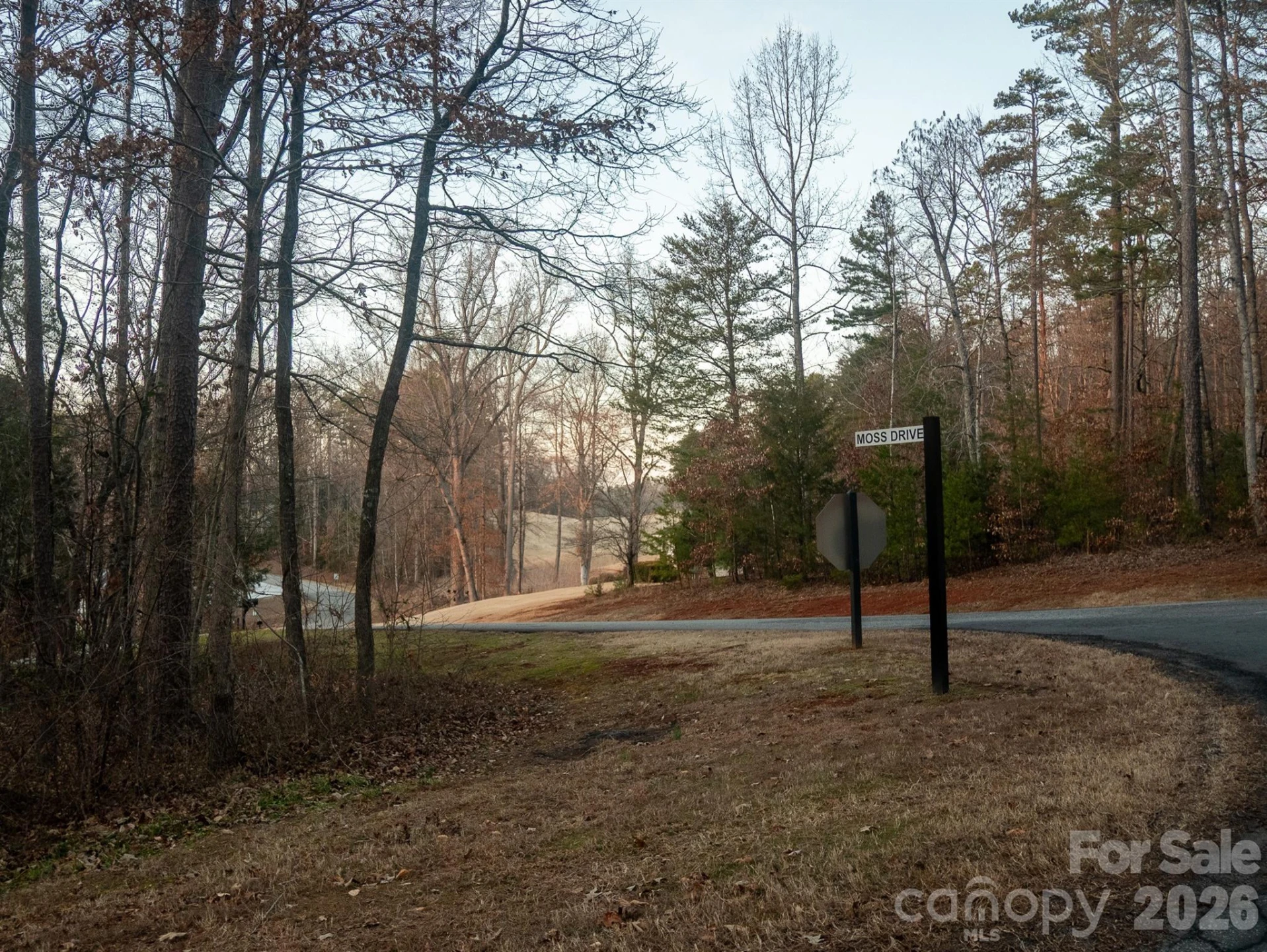 00 Moss Drive - Photo 5