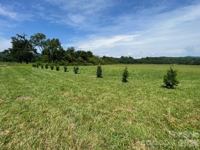 Mini Farm 3 TBD Coventry Drive - Photo 12