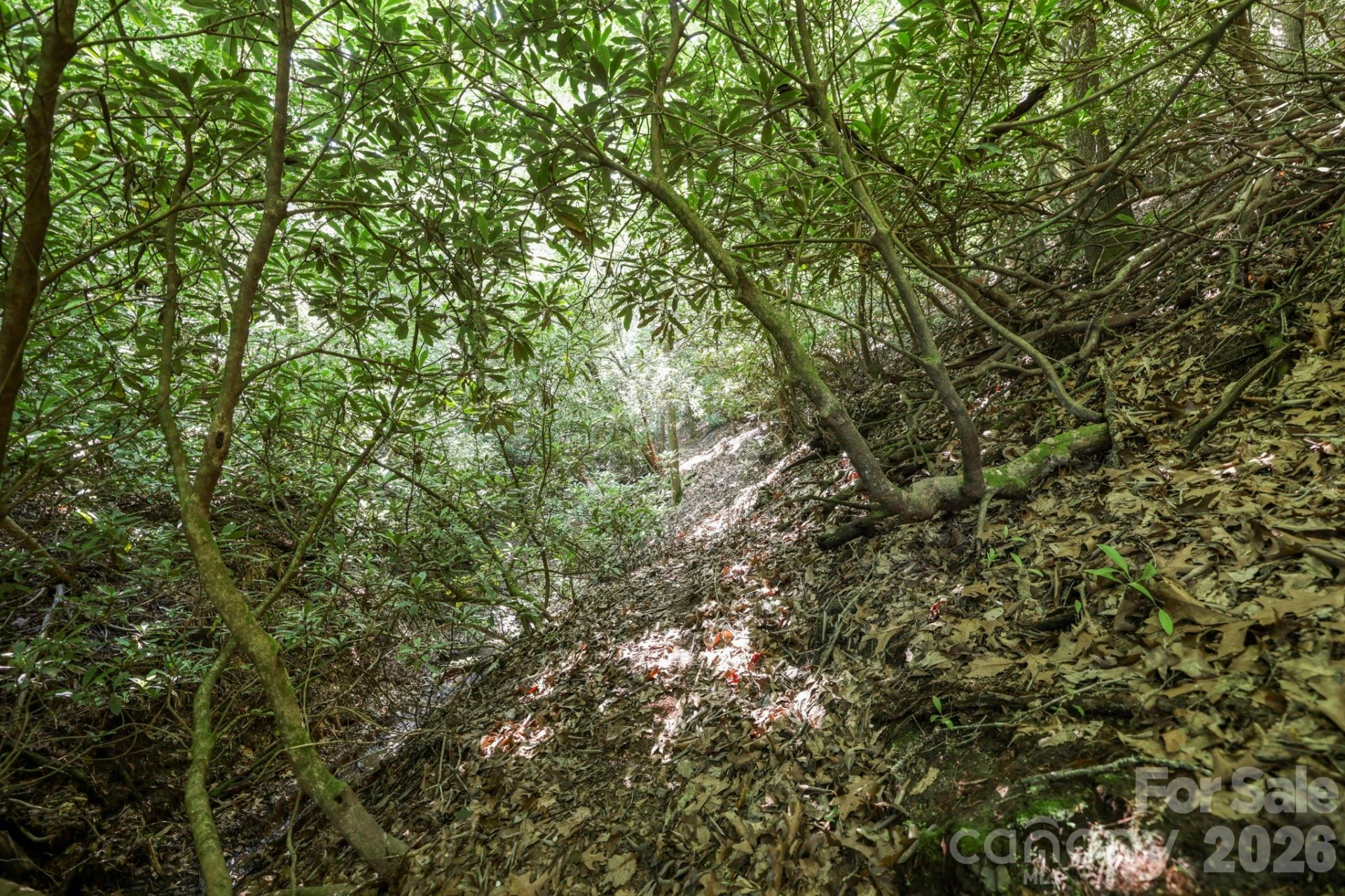 TBD Big Valley Road - Photo 11