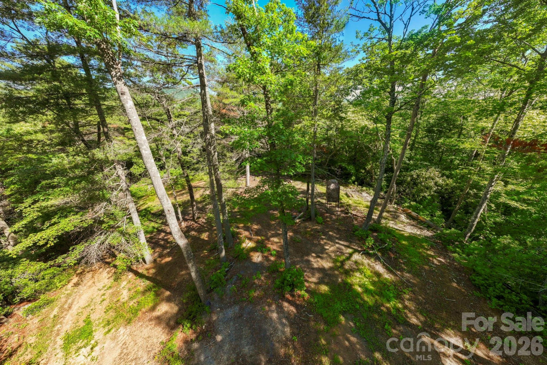 TBD Big Valley Road - Photo 12