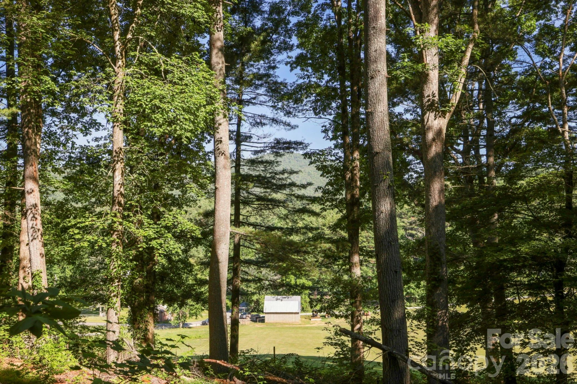 TBD Big Valley Road - Photo 7