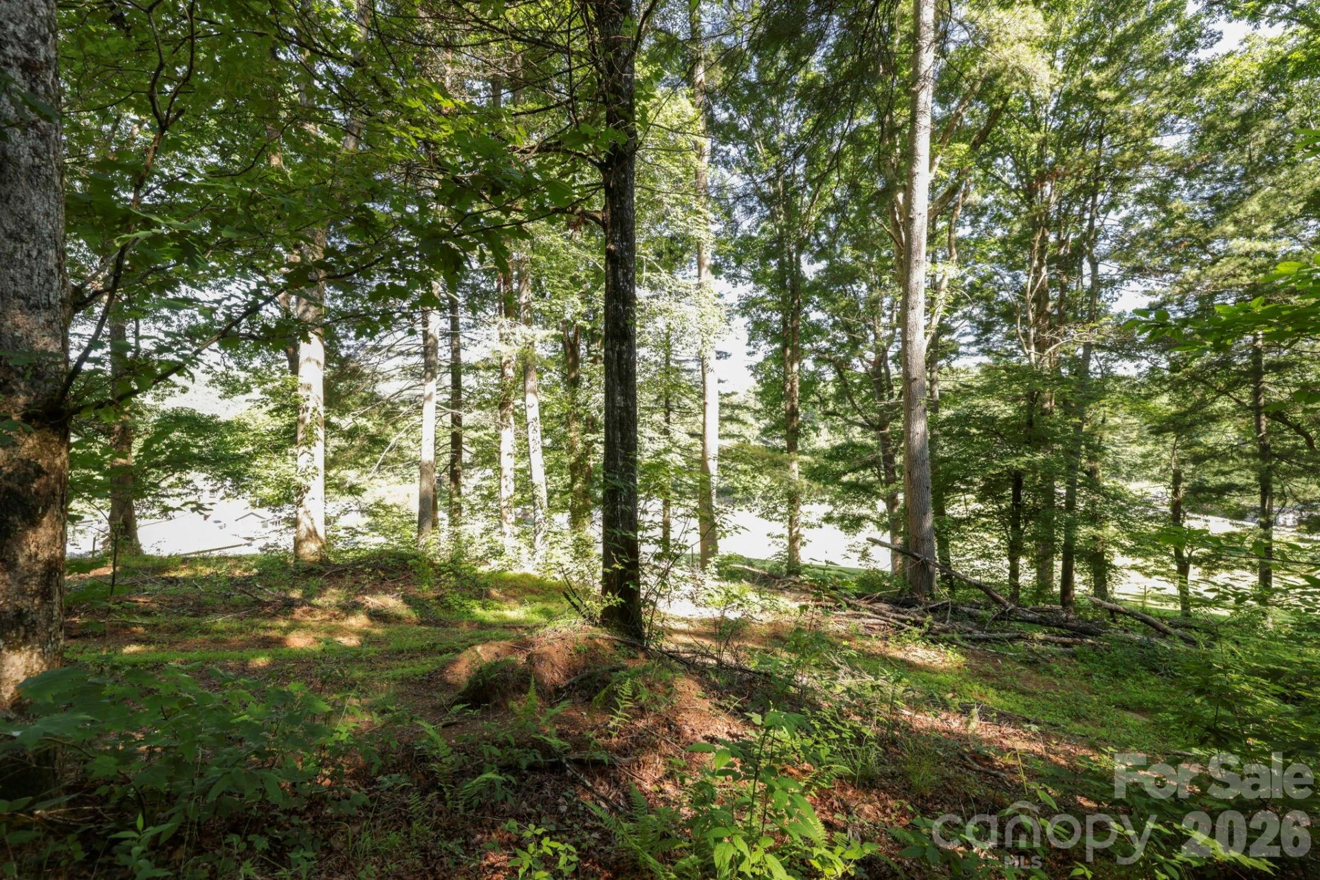 TBD Big Valley Road - Photo 8
