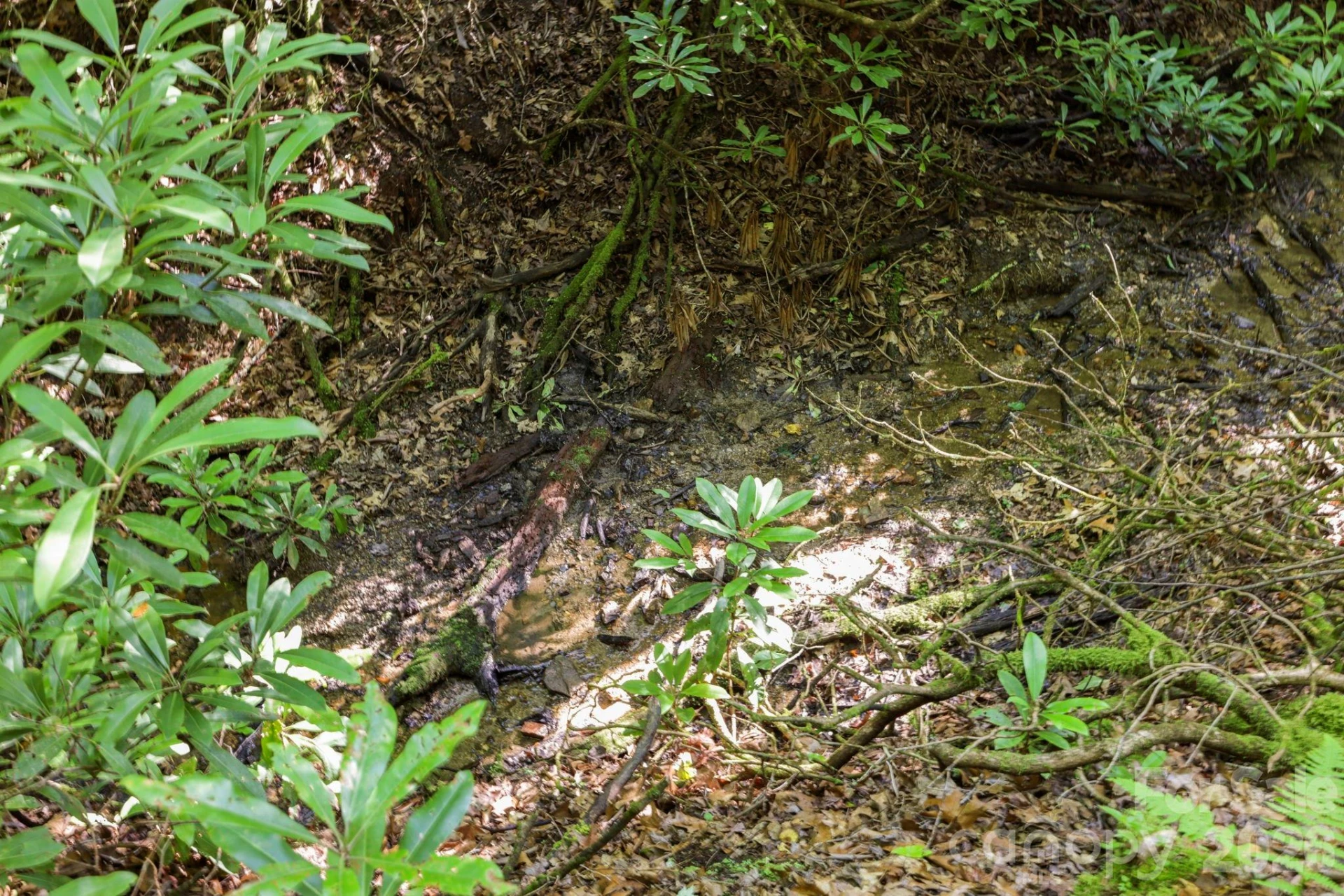 TBD Big Valley Road - Photo 9