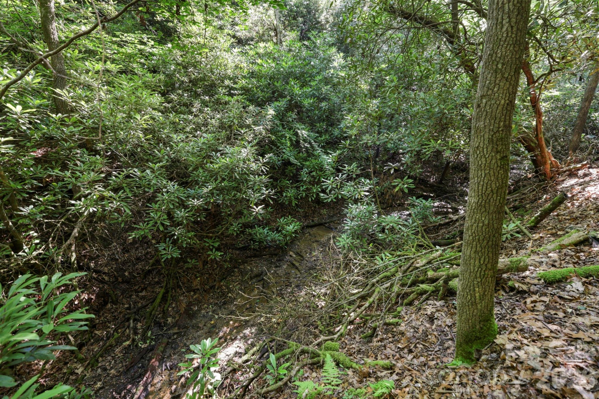 TBD Big Valley Road - Photo 10