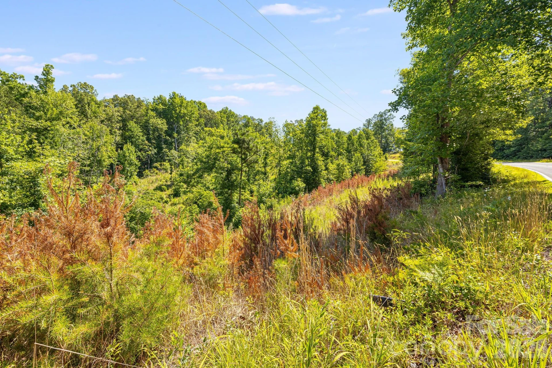 Lot #2 Clark Road - Photo 11