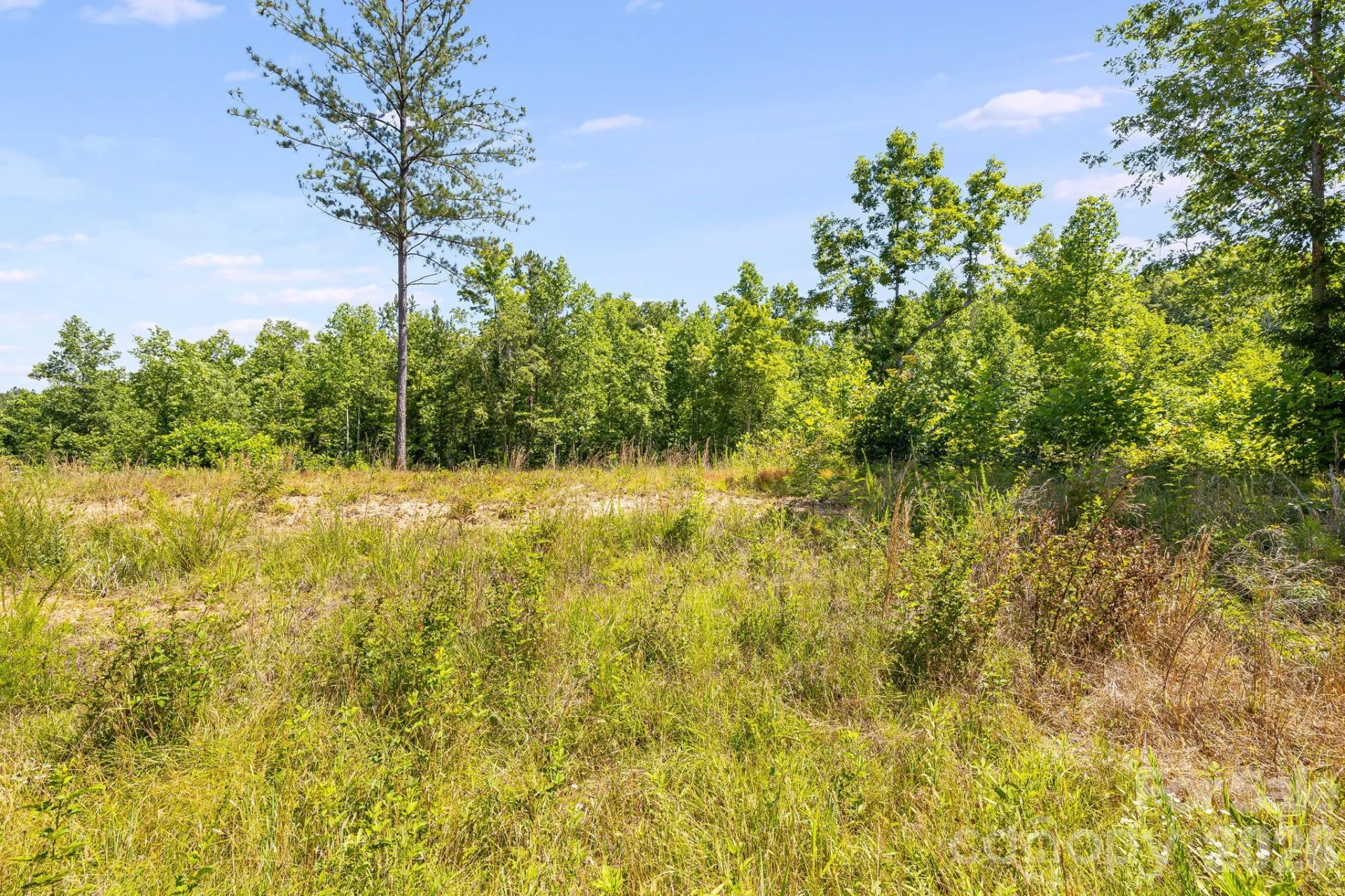 Lot #2 Clark Road - Photo 12