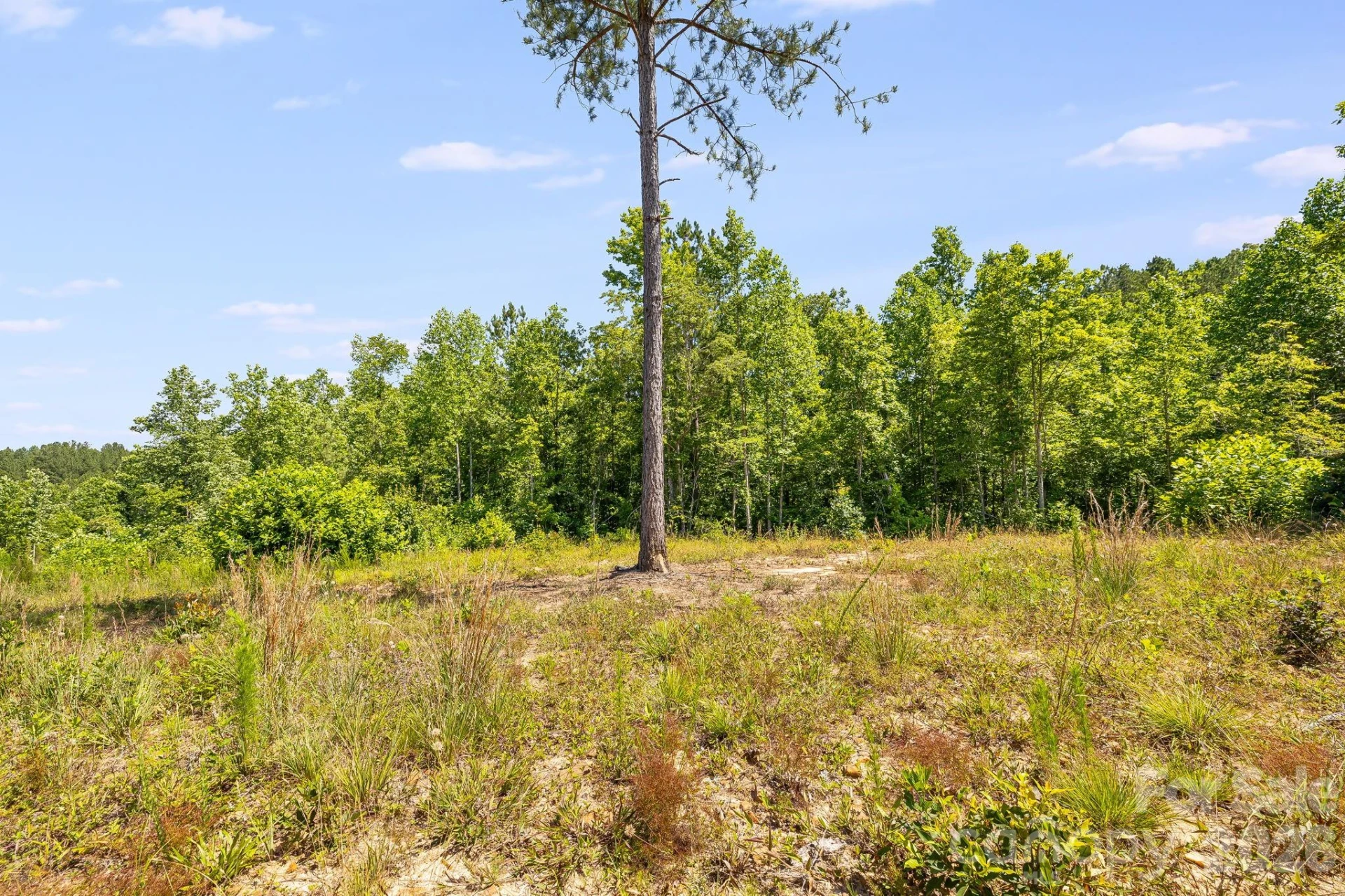 Lot #2 Clark Road - Photo 13