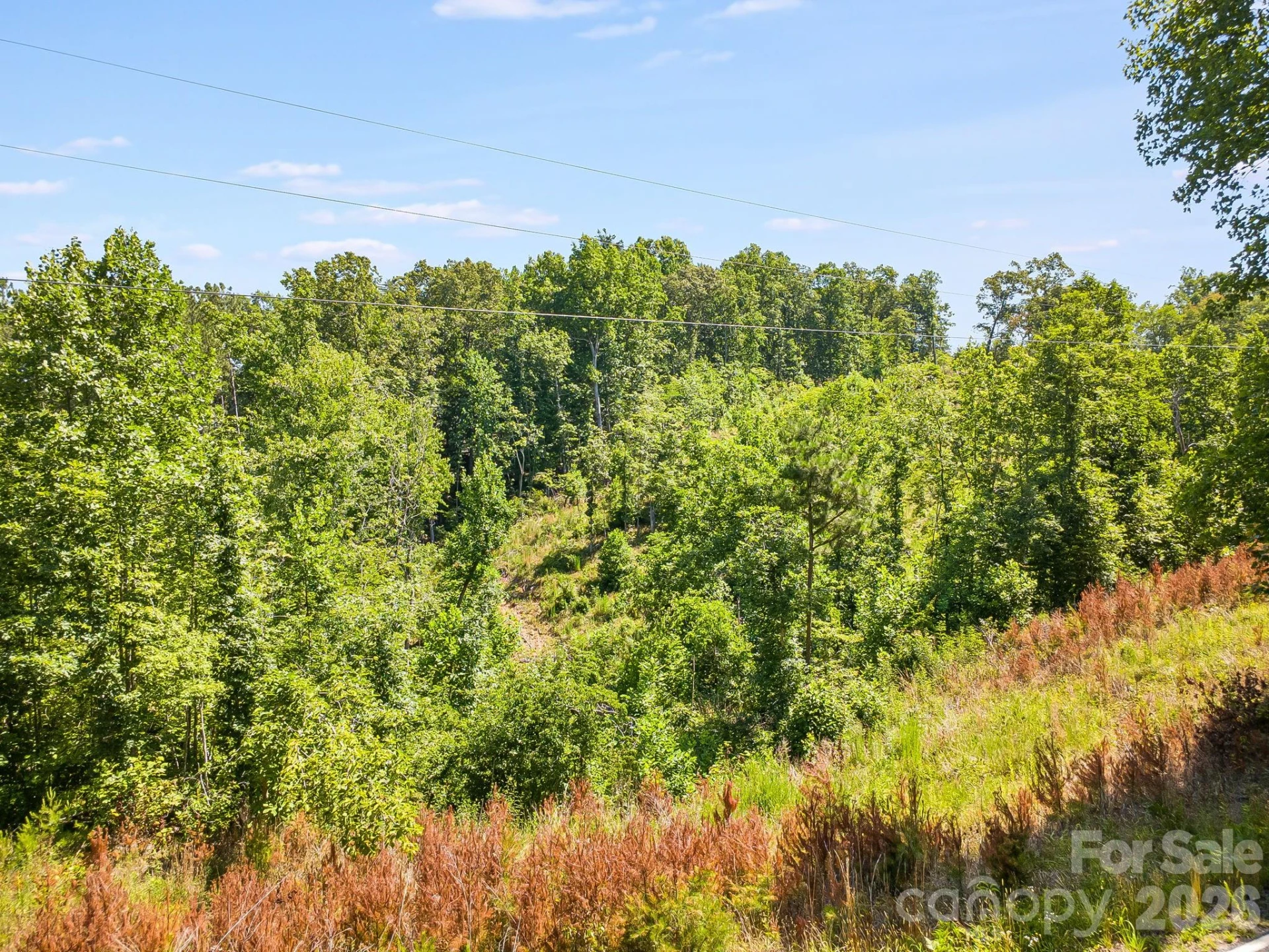 Lot #2 Clark Road - Photo 14
