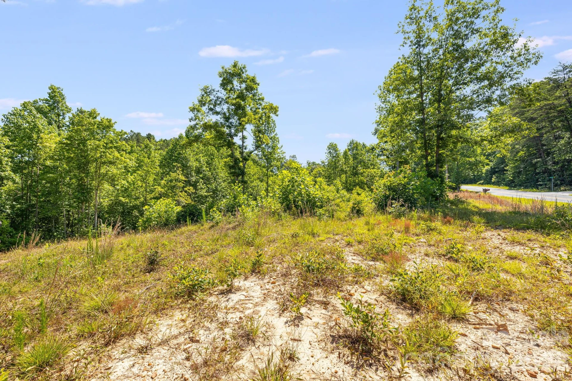 Lot #2 Clark Road - Photo 10