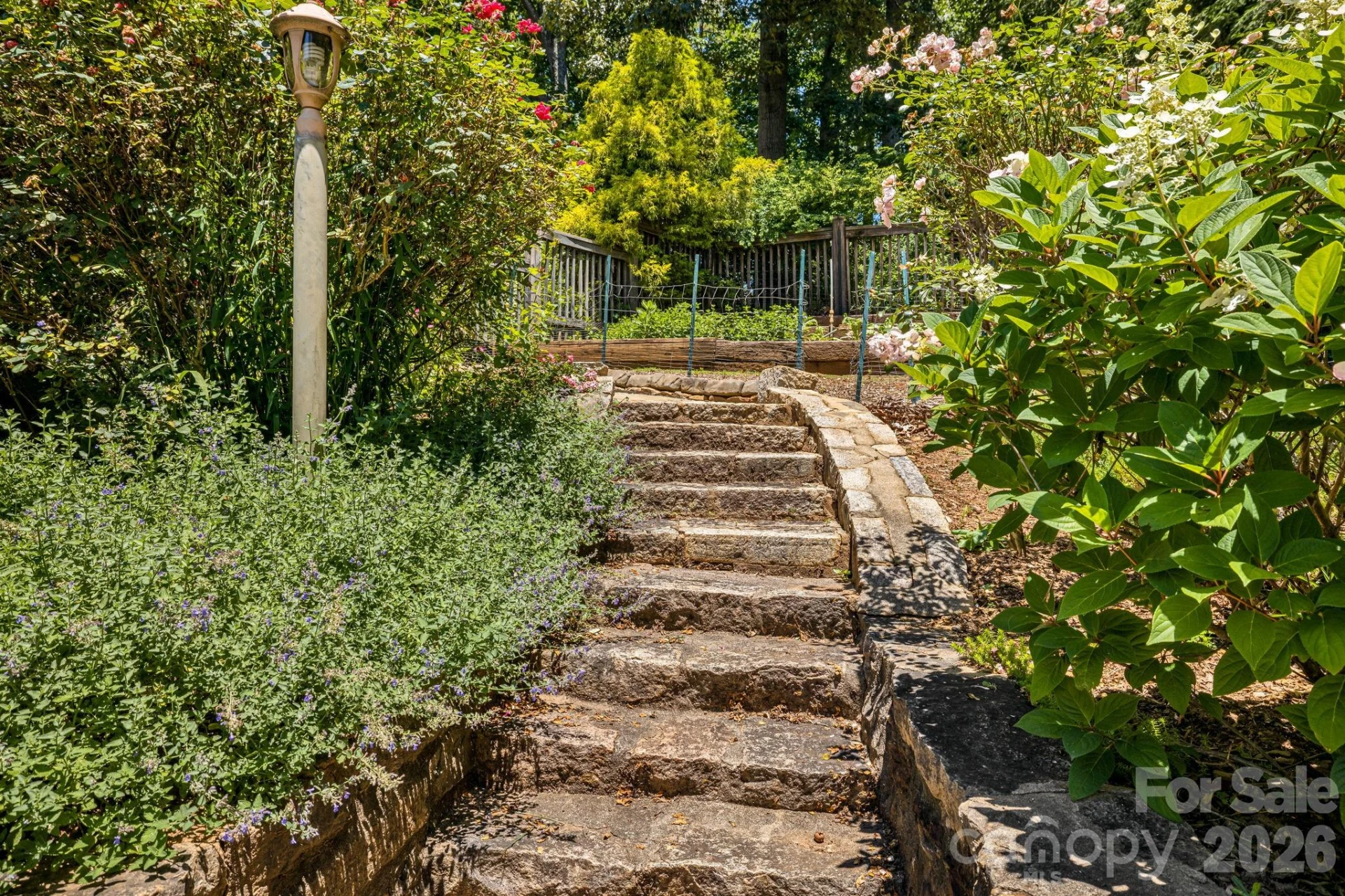 78 Grovewood Road - Photo 36