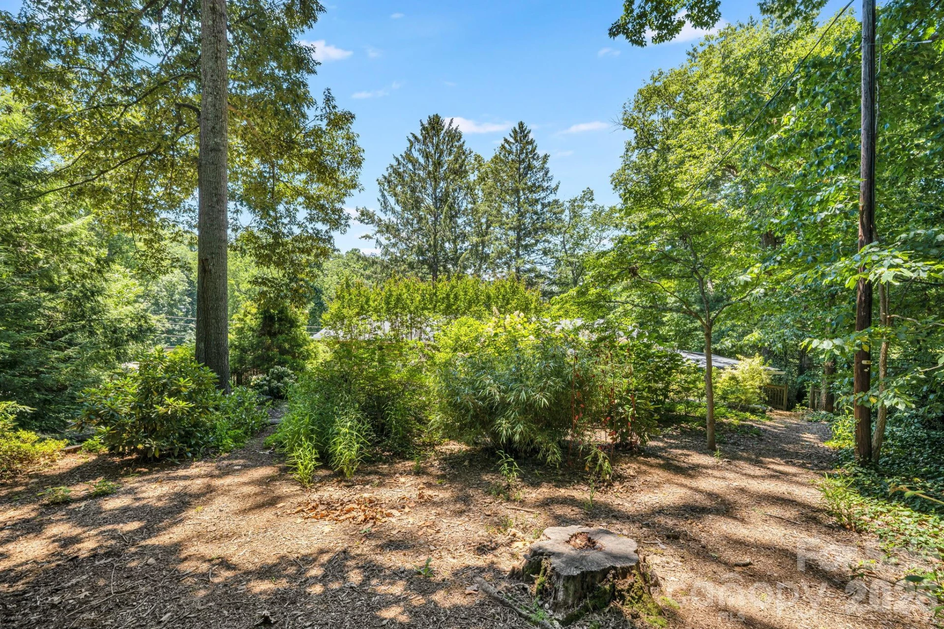 78 Grovewood Road - Photo 39