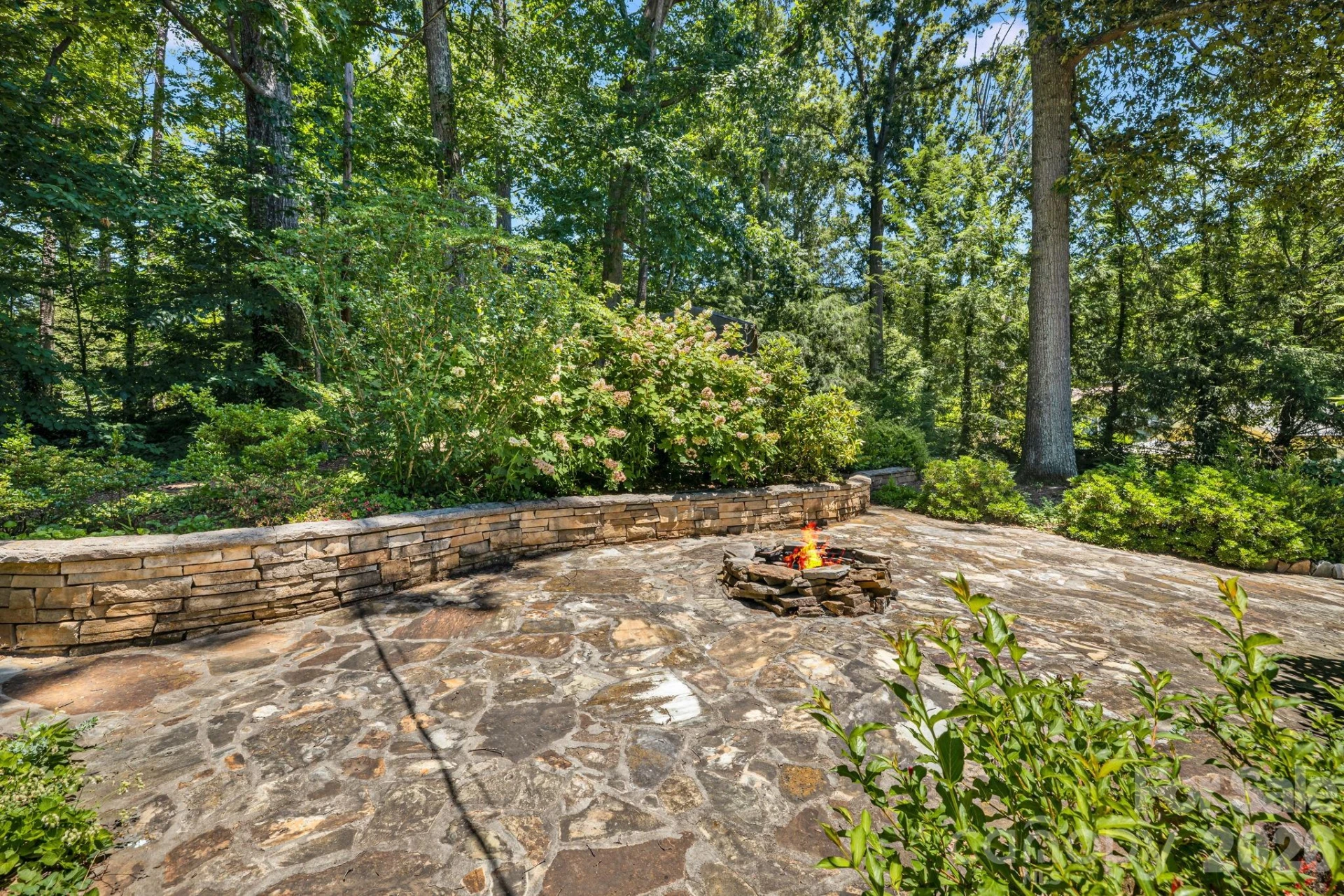 78 Grovewood Road - Photo 40
