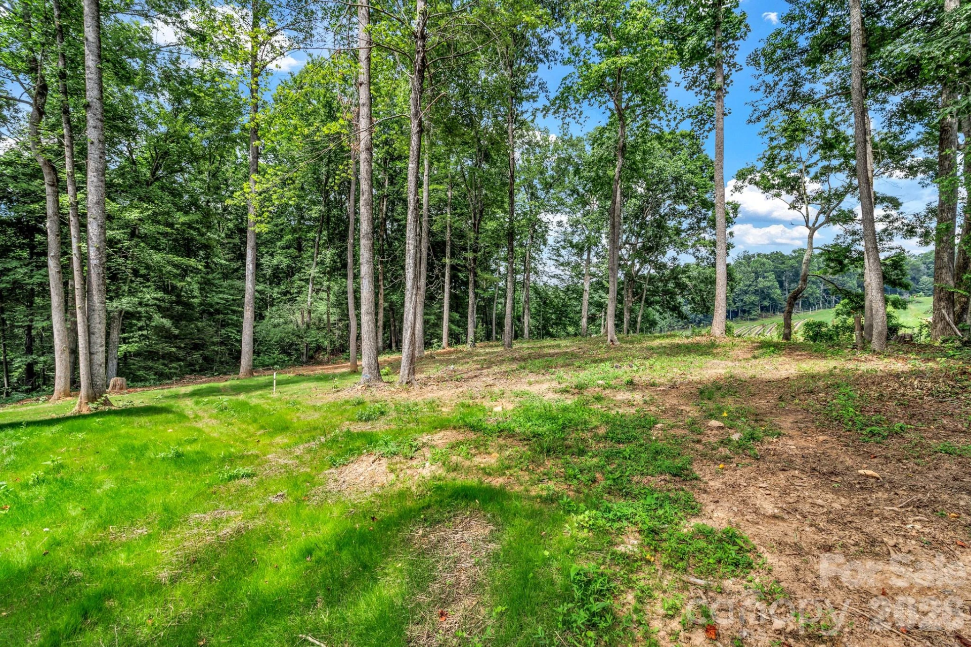 80 Goldenwood Lane - Photo 44