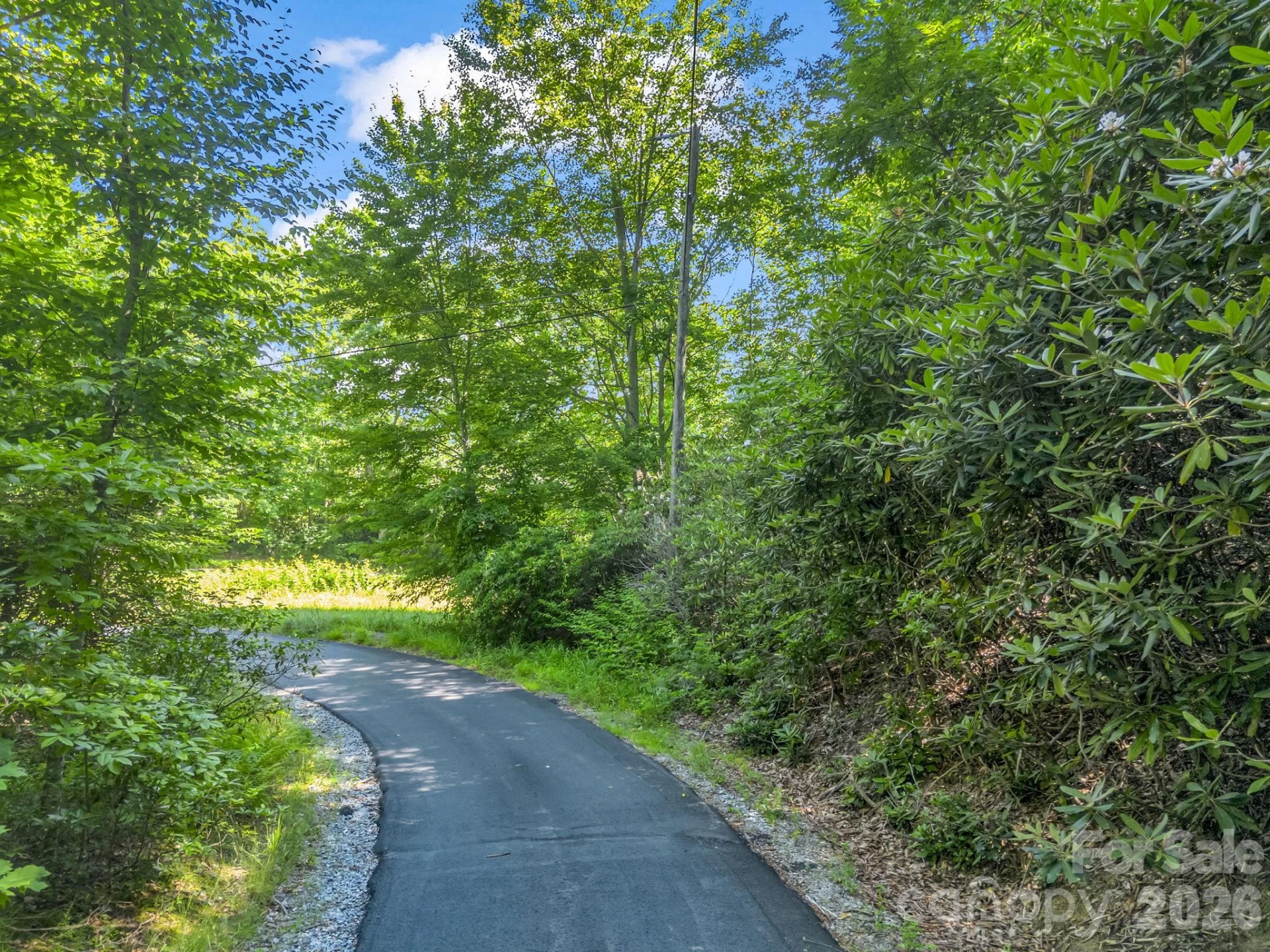 0 Vineyard Hill Drive - Photo 12