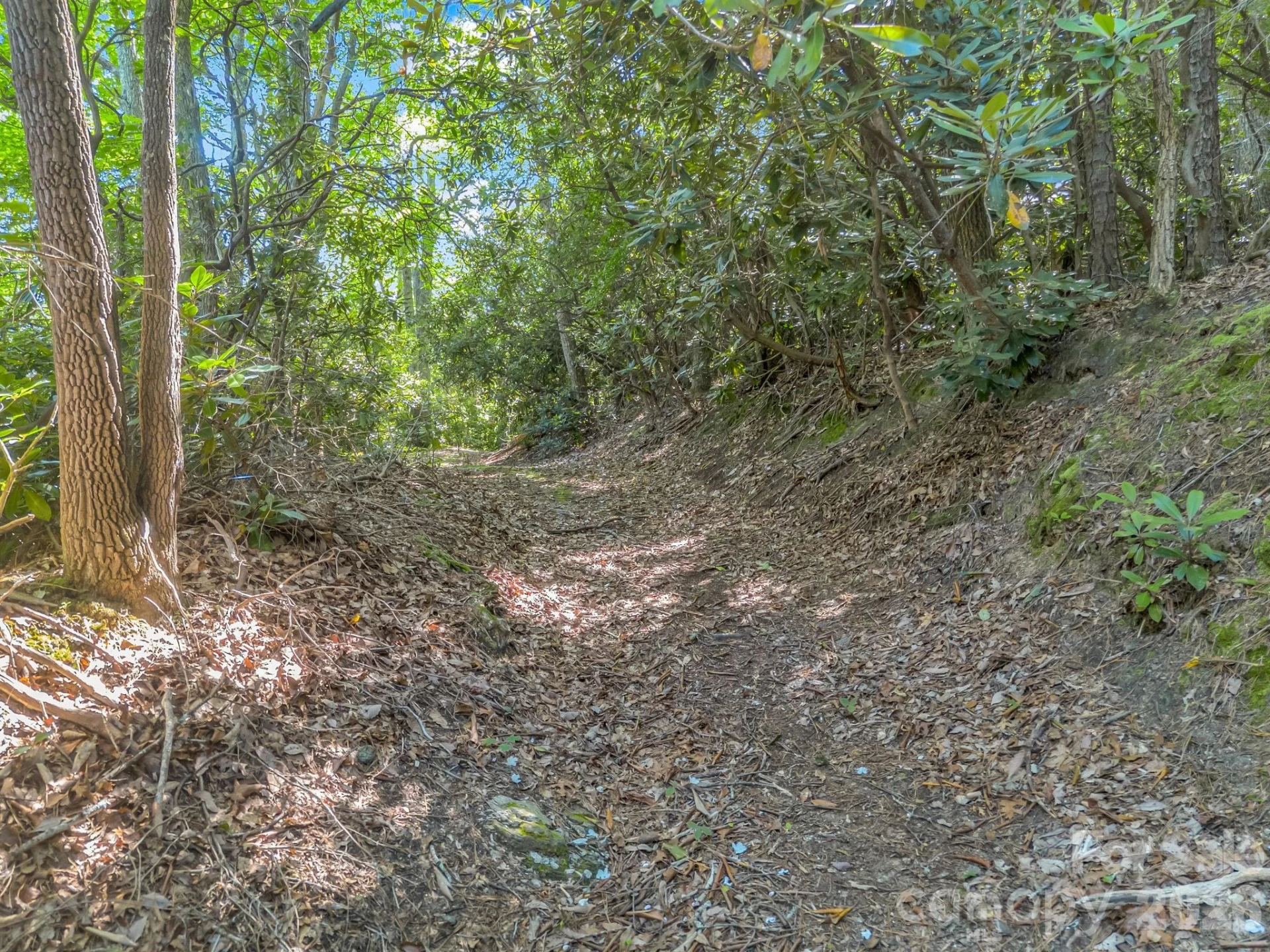 0 Vineyard Hill Drive - Photo 13