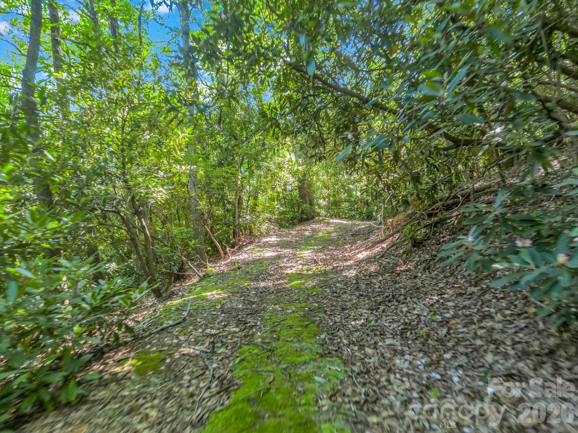 0 Vineyard Hill Drive - Photo 14