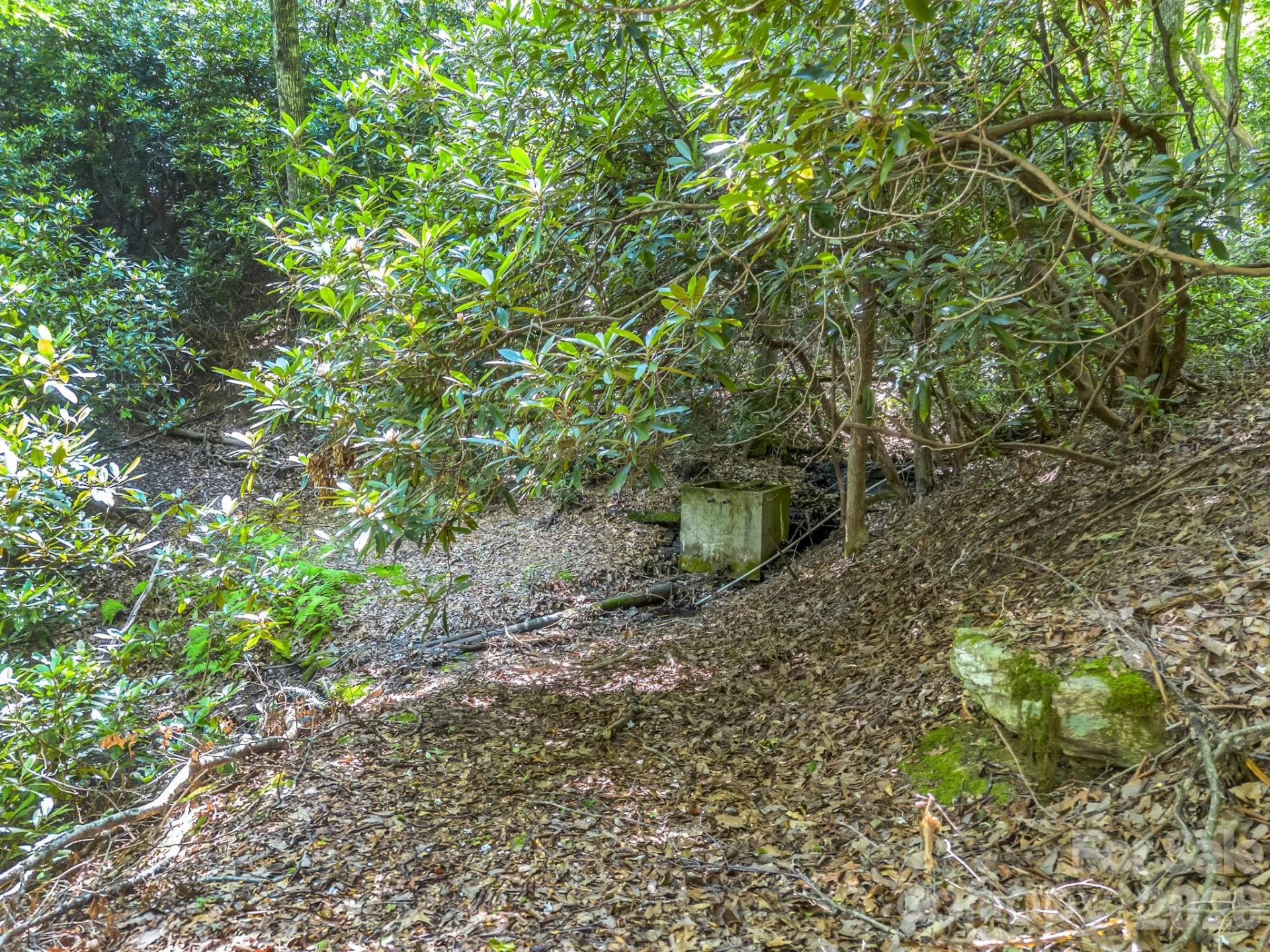 0 Vineyard Hill Drive - Photo 16